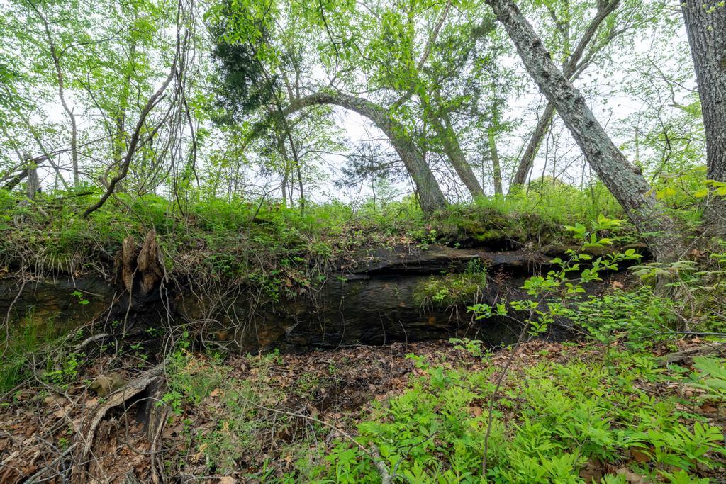 Photo 56 - Residential for sale – 10689 S S. 425 Road  El Dorado Springs, MO