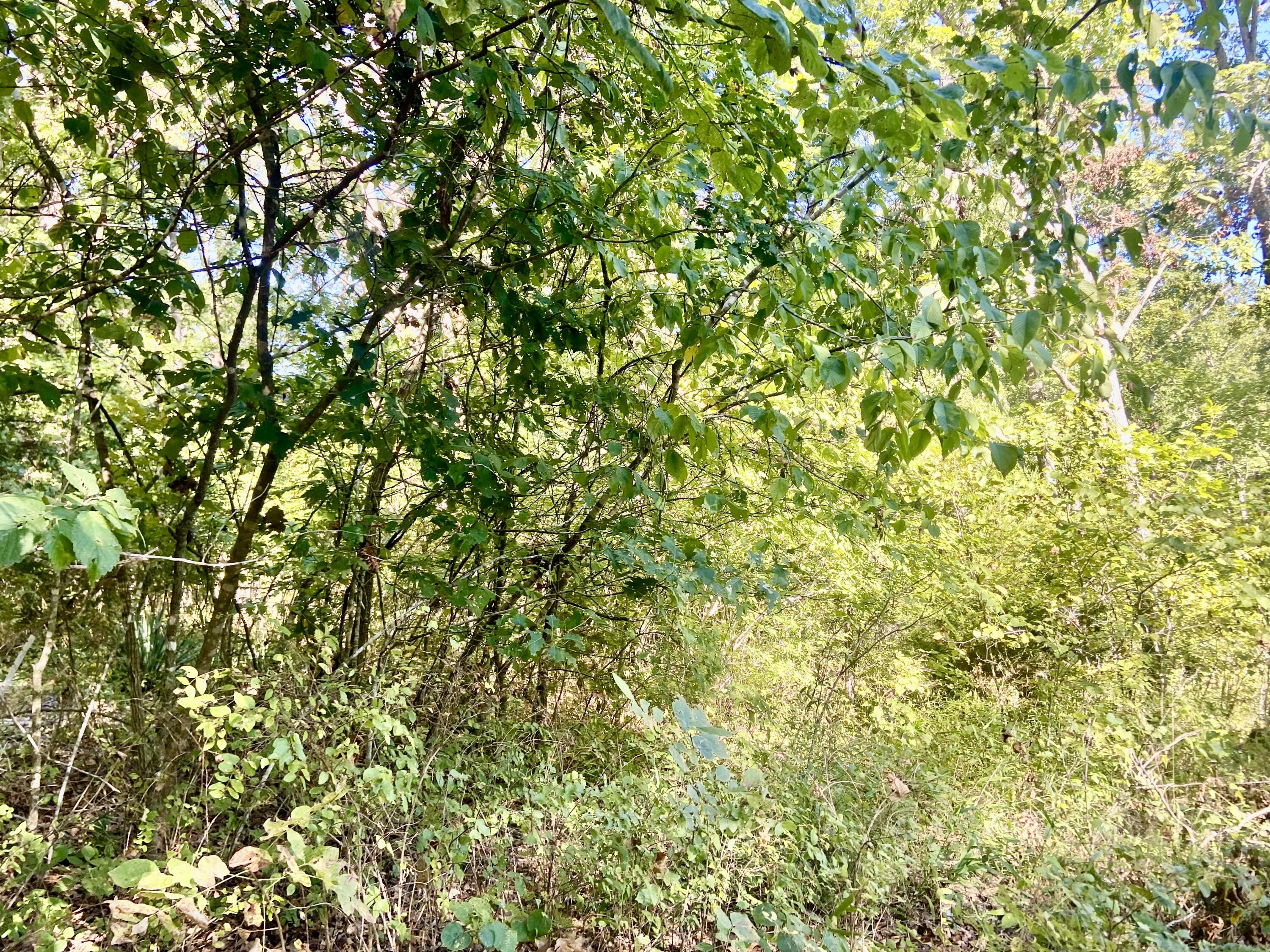 Farm/Ranch/Land for sale –  Greenfield, 