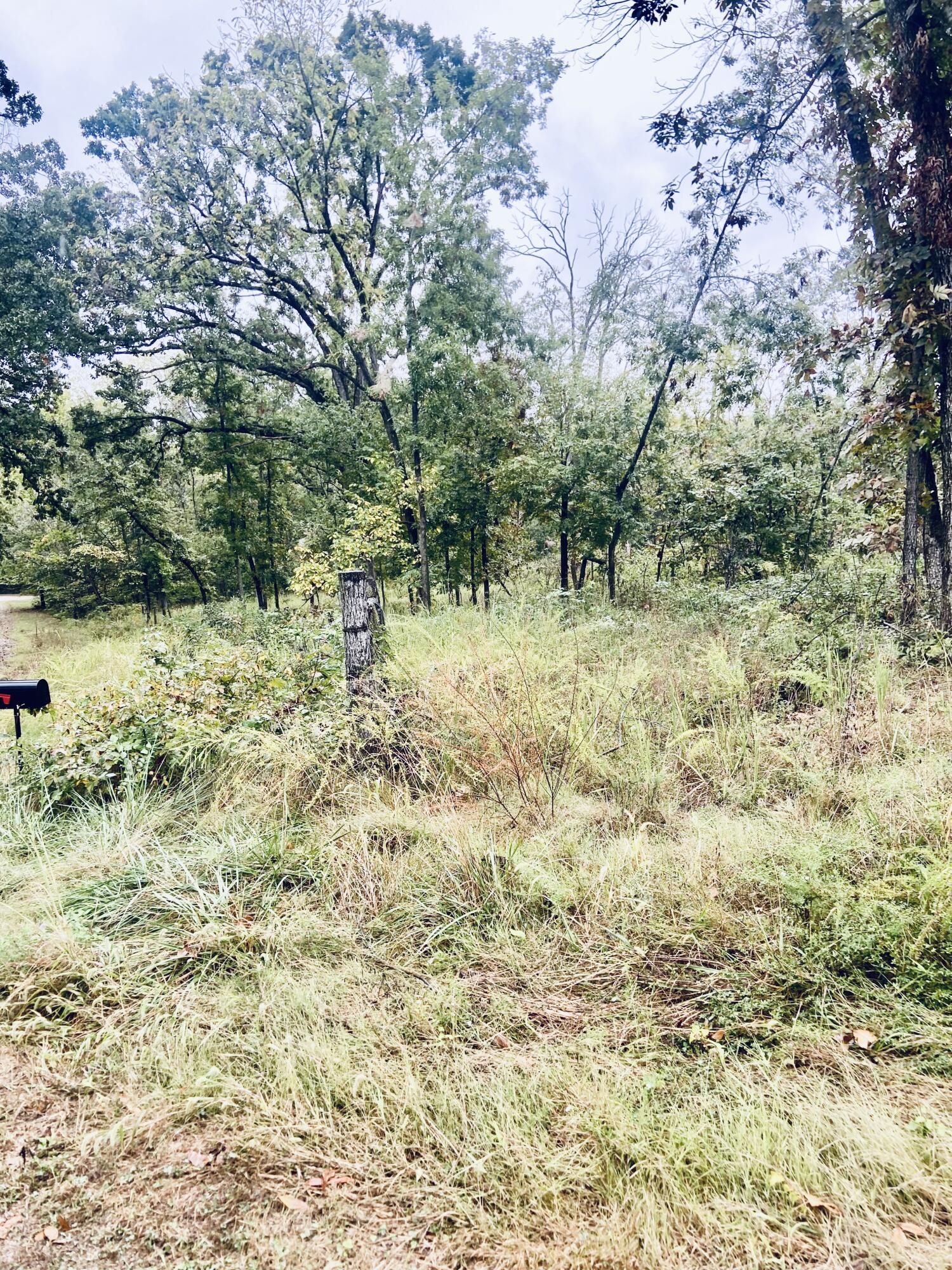Farm/Ranch/Land for sale – 294 E Dade 68   Greenfield, MO