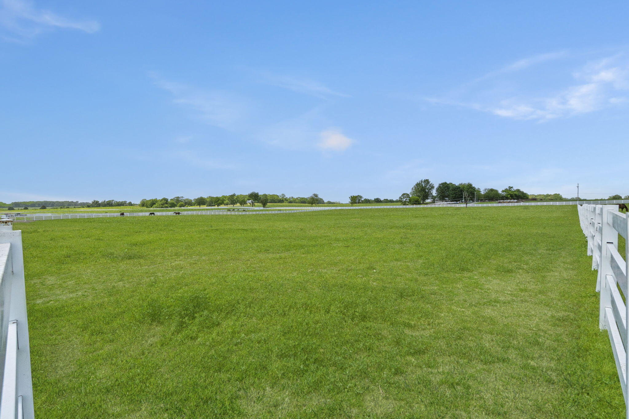 Photo 57 - Residential for sale – 3731 S Farm Road 219   Rogersville, MO