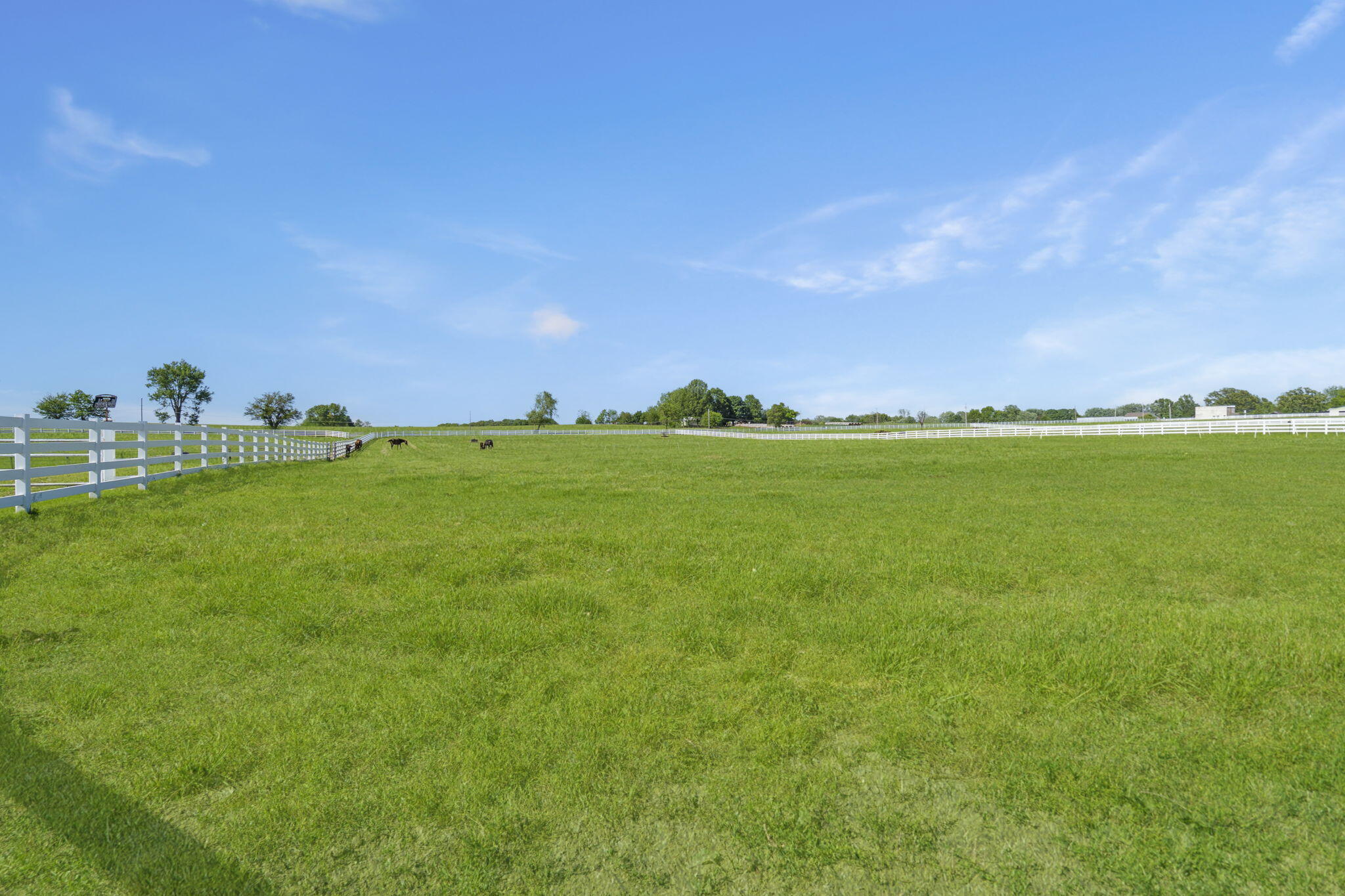 Photo 50 - Residential for sale – 3731 S Farm Road 219   Rogersville, MO