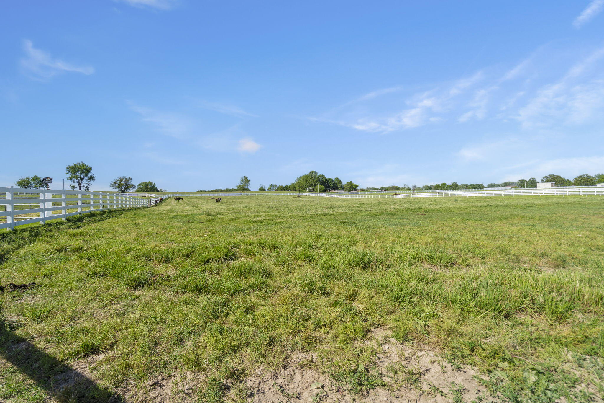 Photo 54 - Residential for sale – 3731 S Farm Road 219   Rogersville, MO