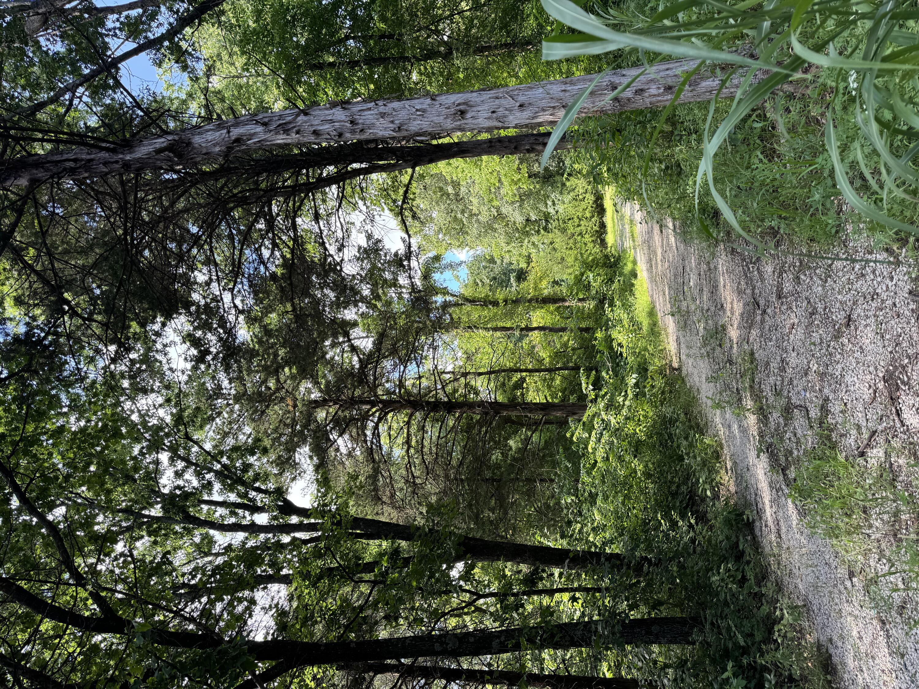 Farm/Ranch/Land for sale –  Stockton, 