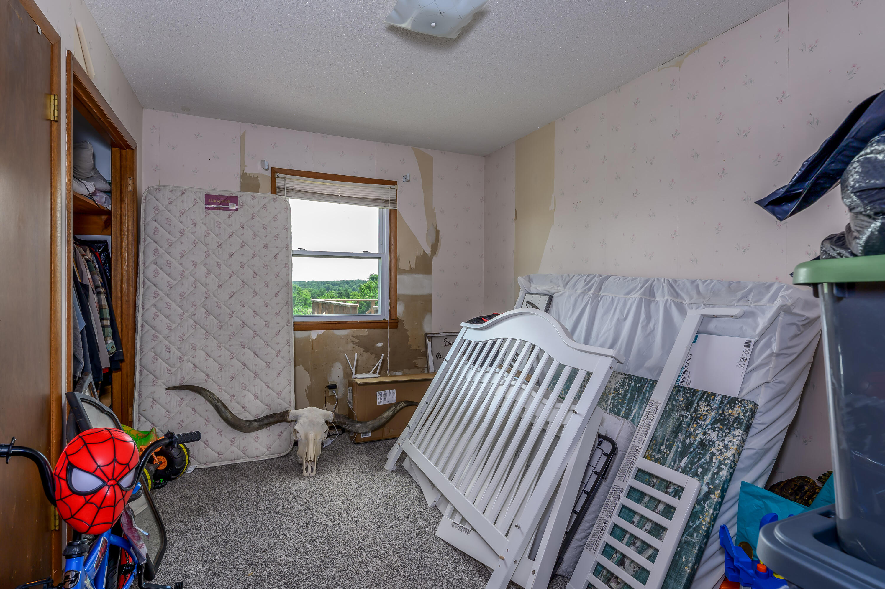 Photo 25 - Farm for sale – 862 N Dade 41   Lockwood, MO