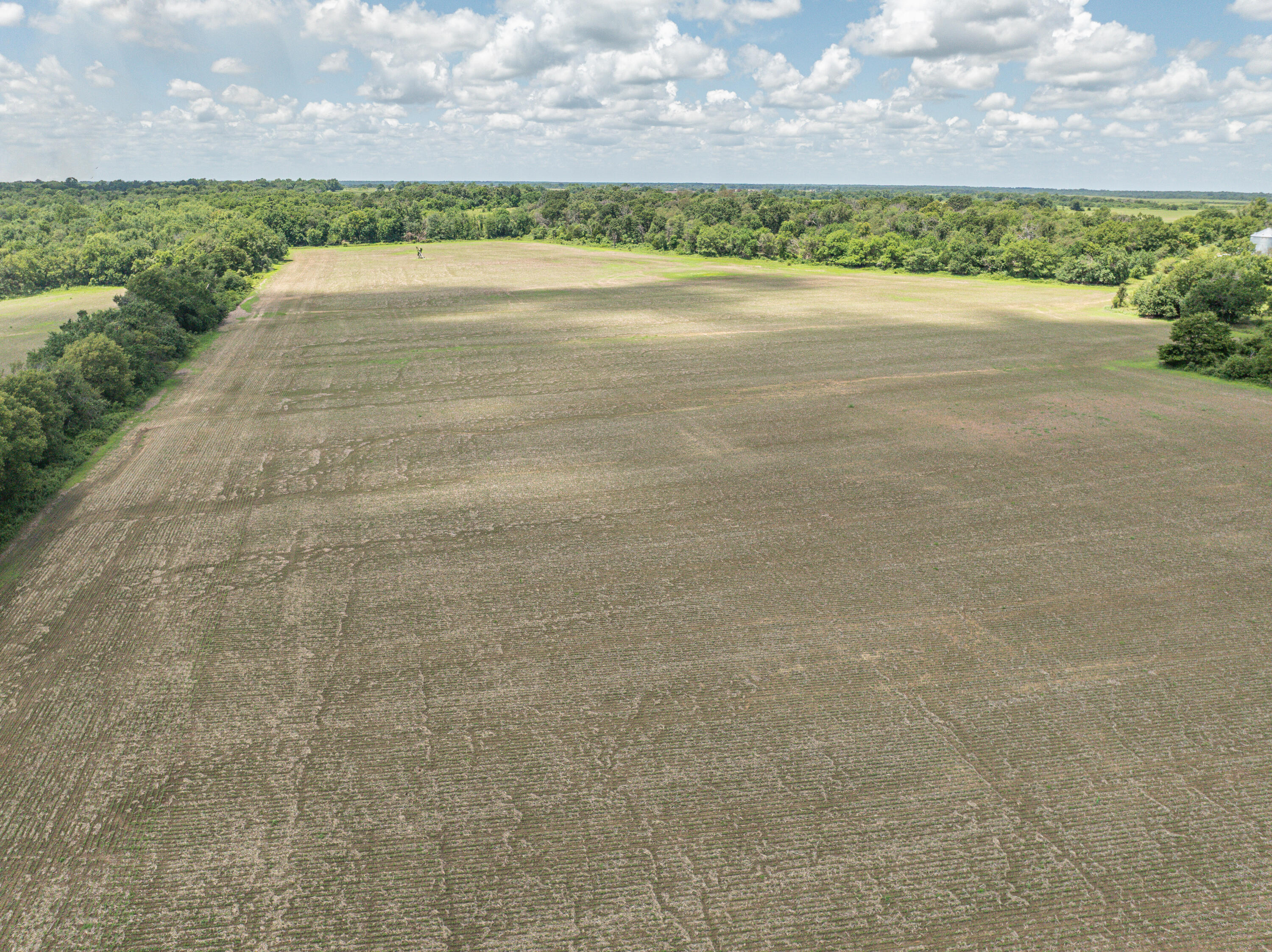 Photo 90 - Farm for sale – 862 N Dade 41   Lockwood, MO