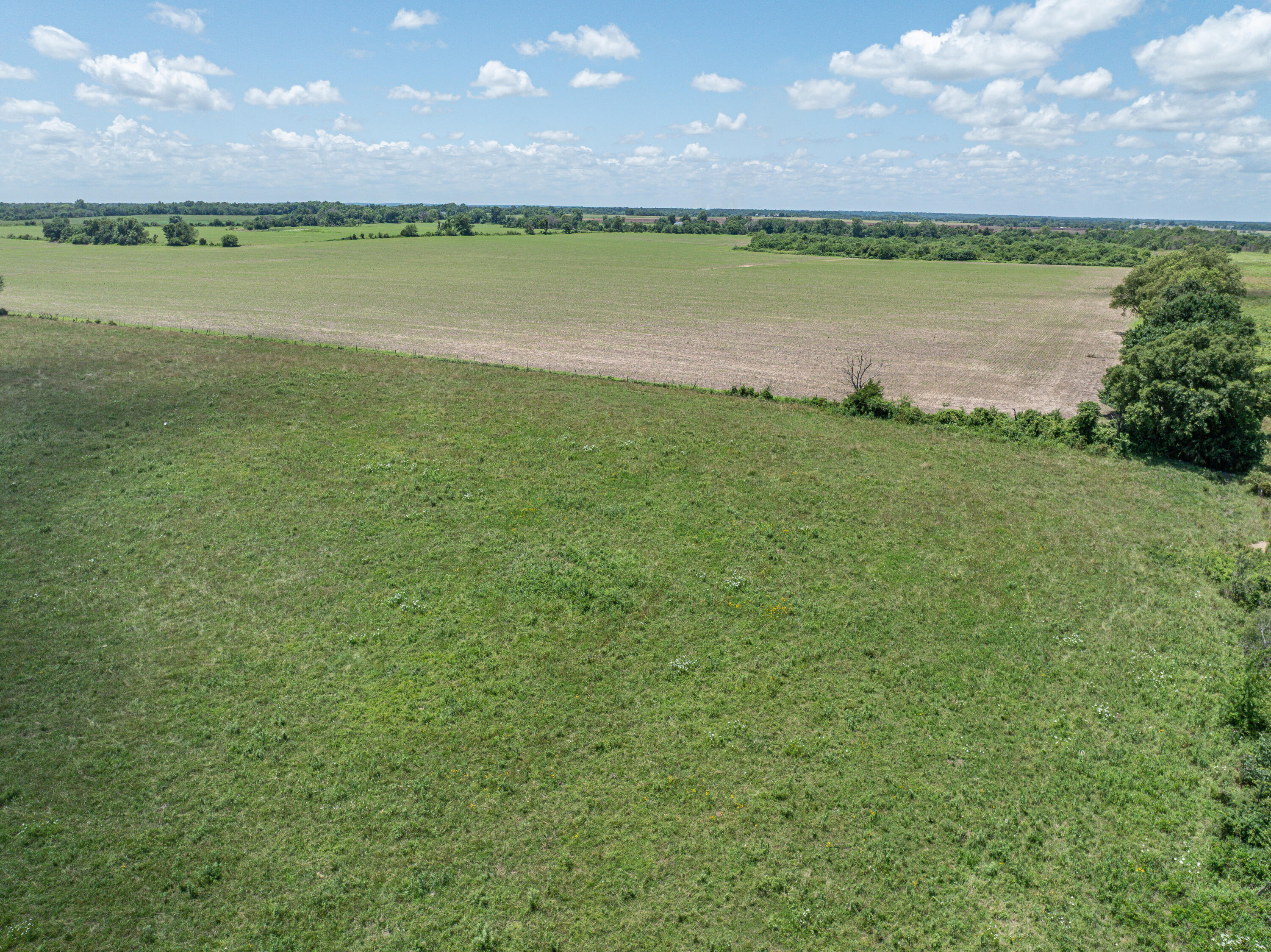 Photo 58 - Farm for sale – 862 N Dade 41   Lockwood, MO