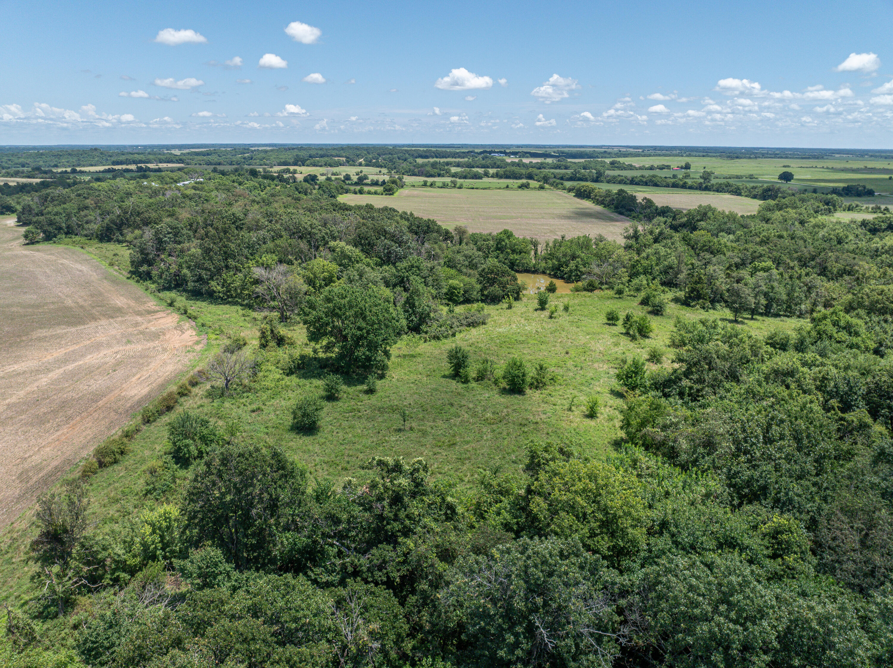 Photo 80 - Farm for sale – 862 N Dade 41   Lockwood, MO