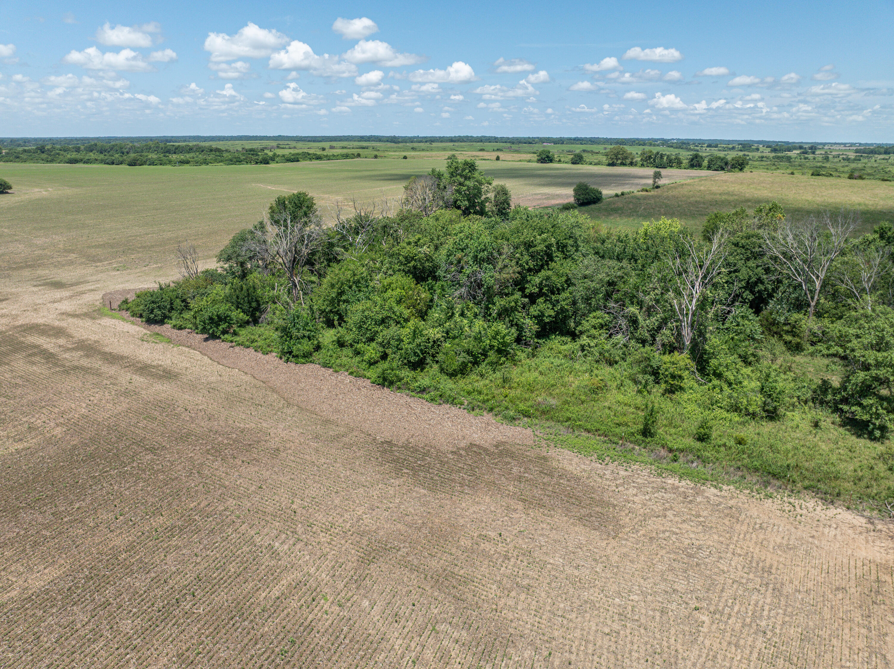 Photo 55 - Farm for sale – 862 N Dade 41   Lockwood, MO