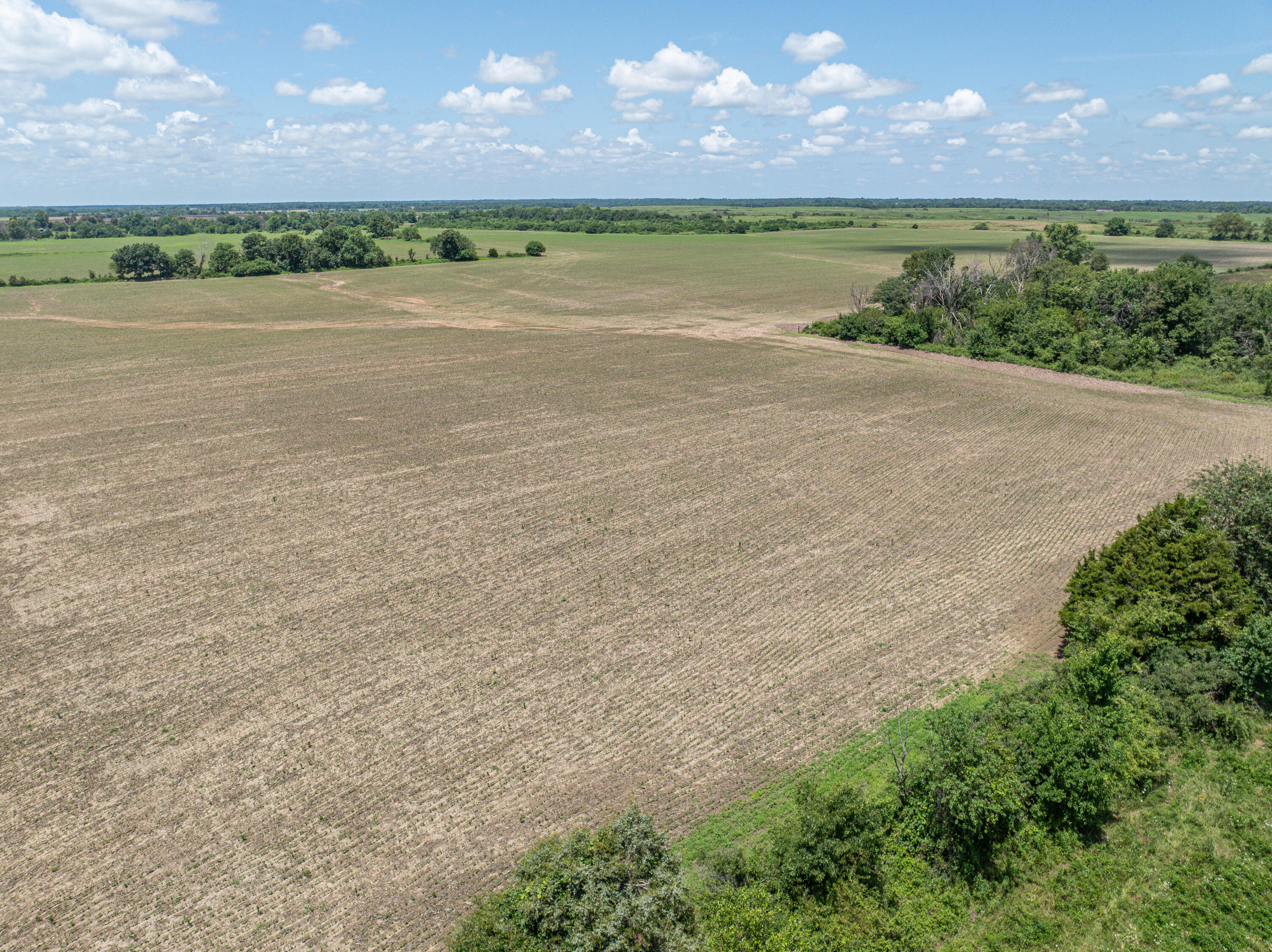 Photo 54 - Farm for sale – 862 N Dade 41   Lockwood, MO