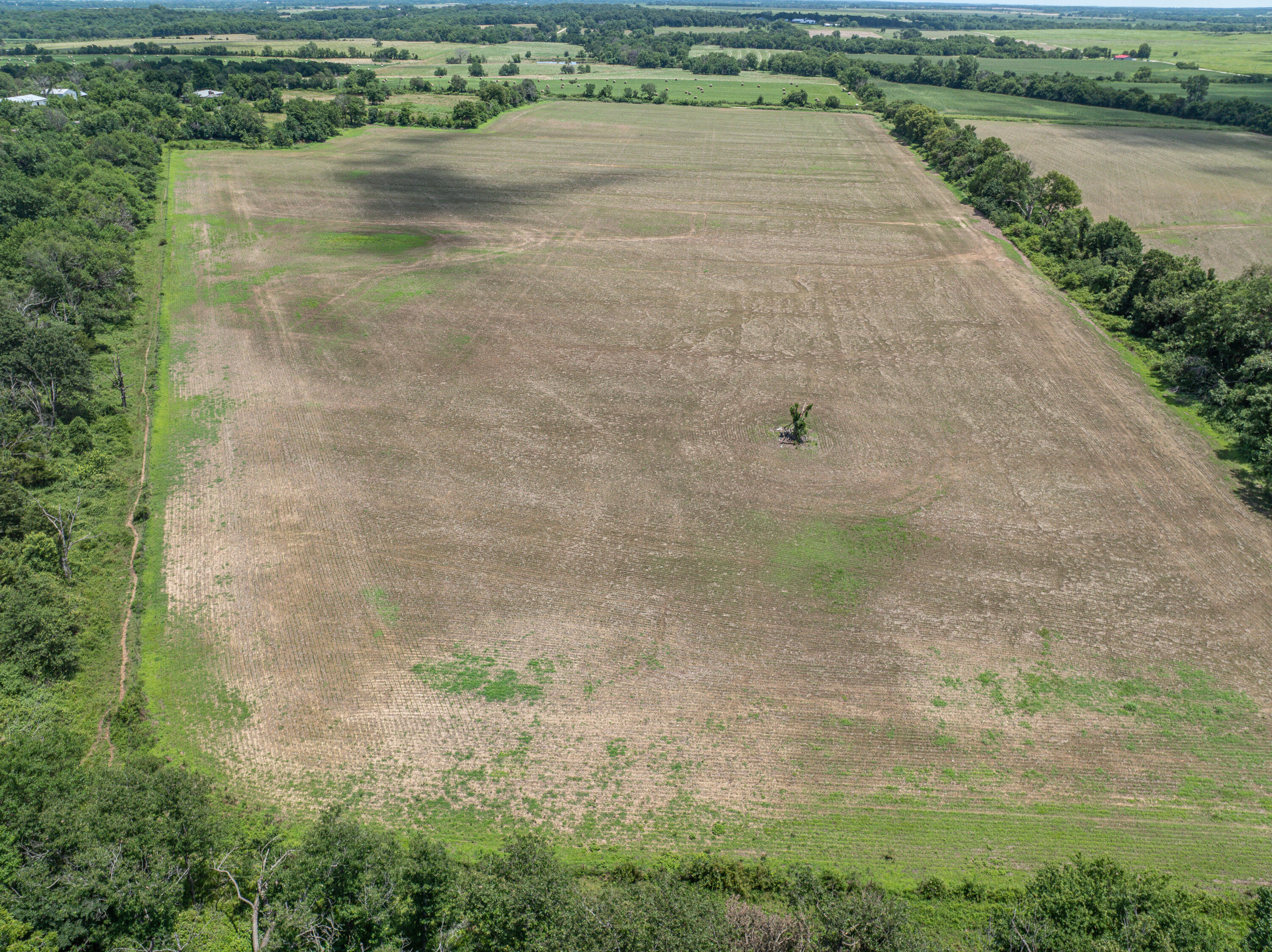 Photo 82 - Farm for sale – 862 N Dade 41   Lockwood, MO