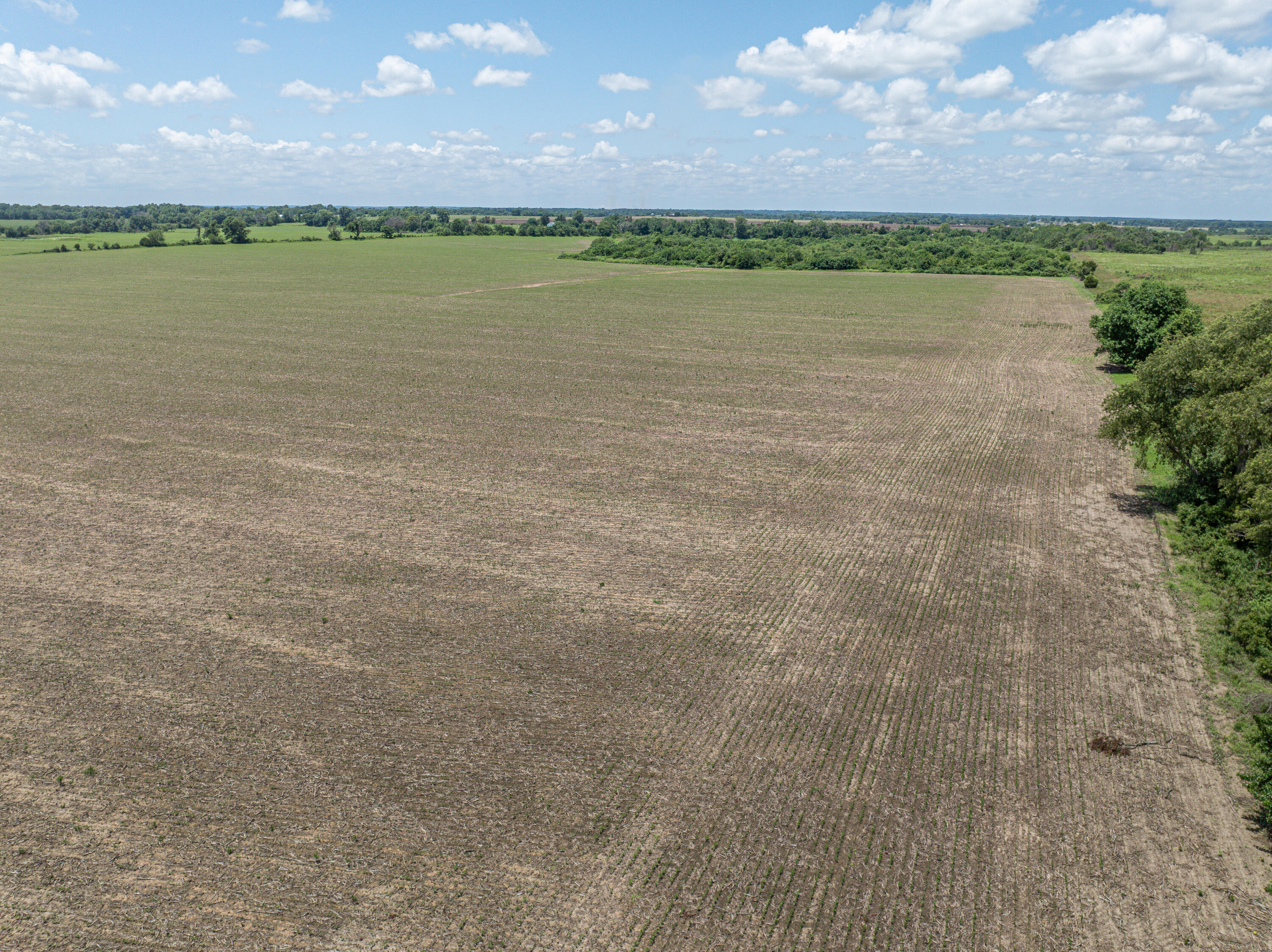 Photo 60 - Farm for sale – 862 N Dade 41   Lockwood, MO