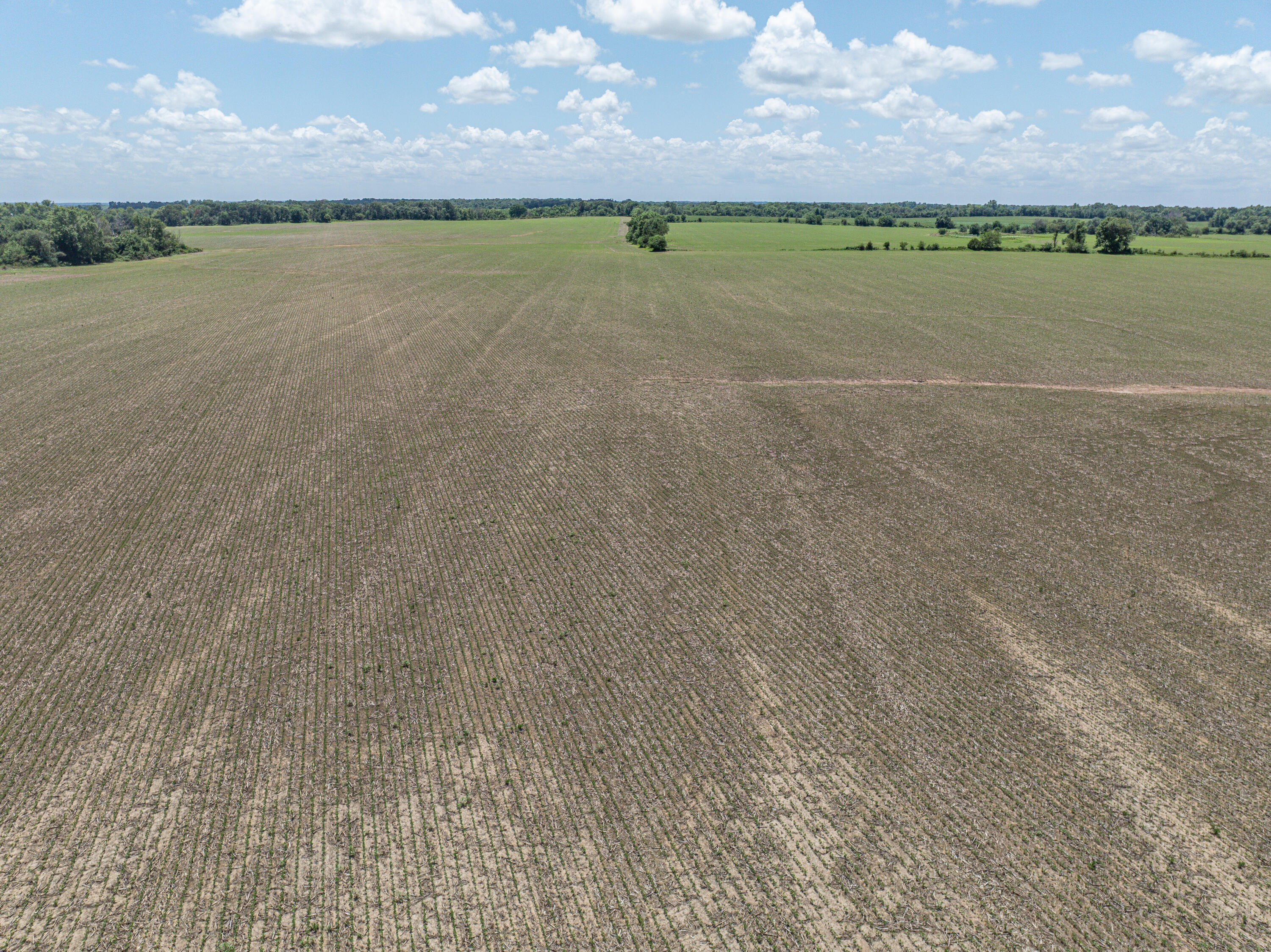 Photo 3 - Farm for sale – 862 N Dade 41   Lockwood, MO