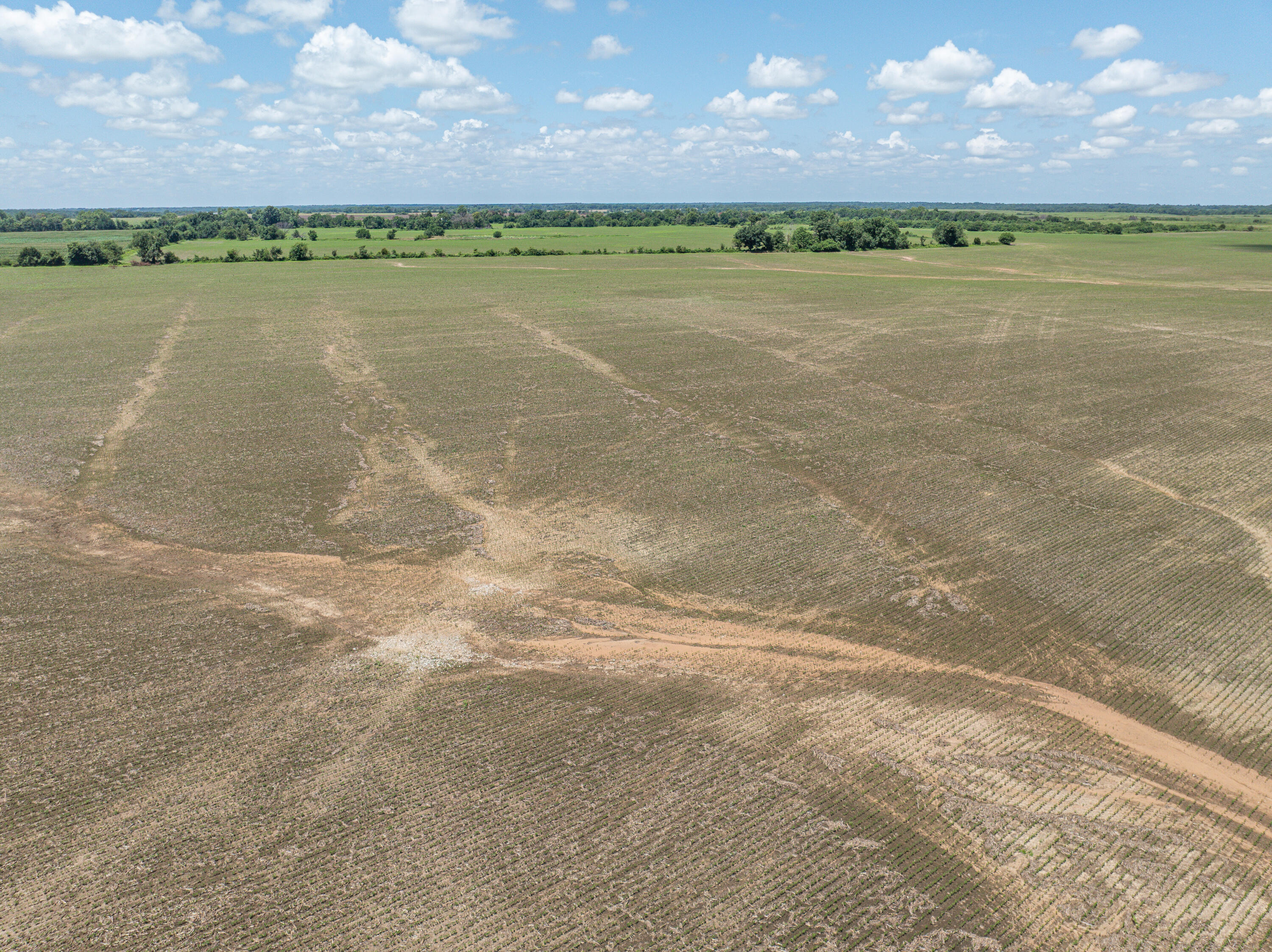 Photo 53 - Farm for sale – 862 N Dade 41   Lockwood, MO