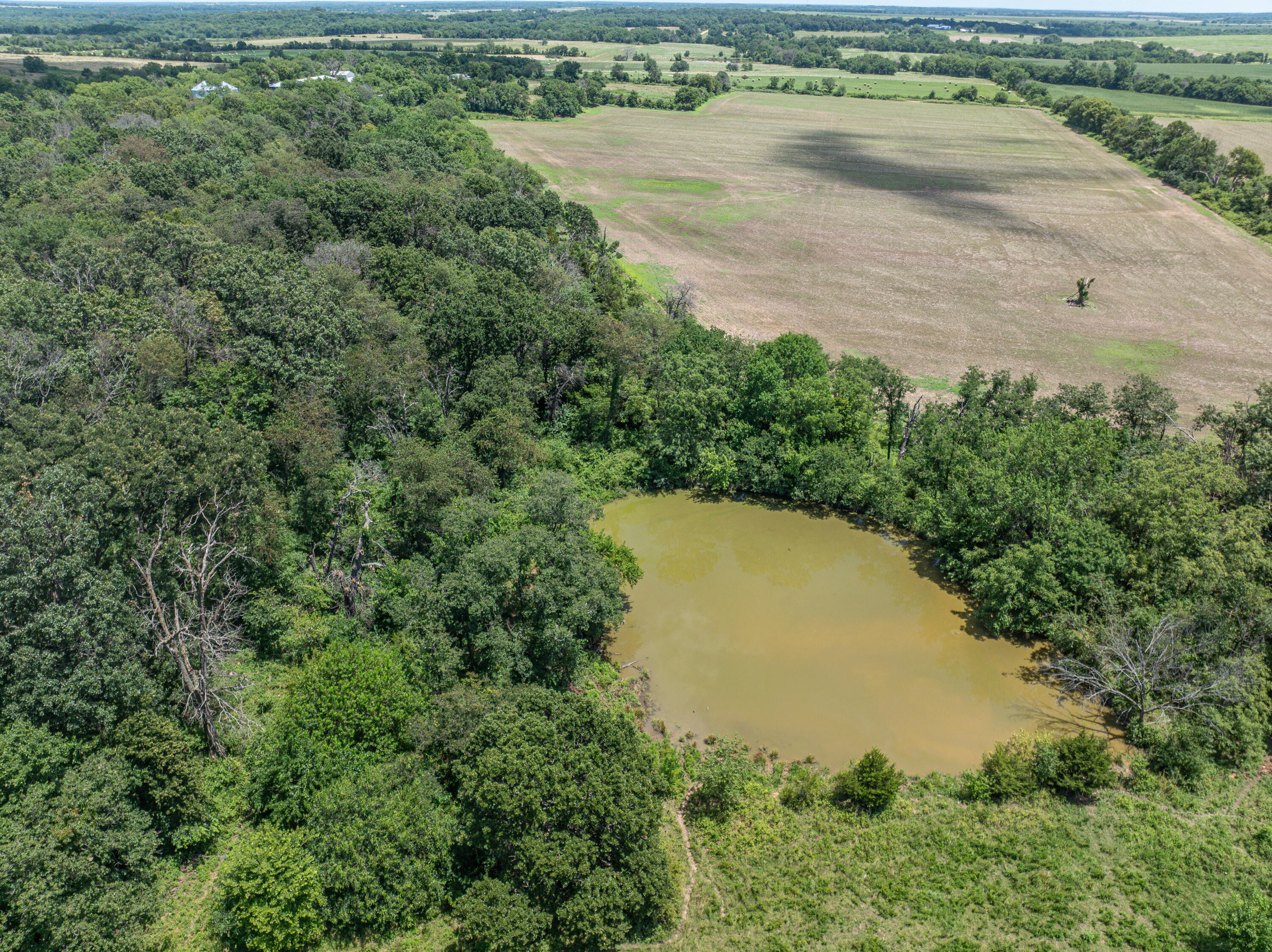 Photo 81 - Farm for sale – 862 N Dade 41   Lockwood, MO