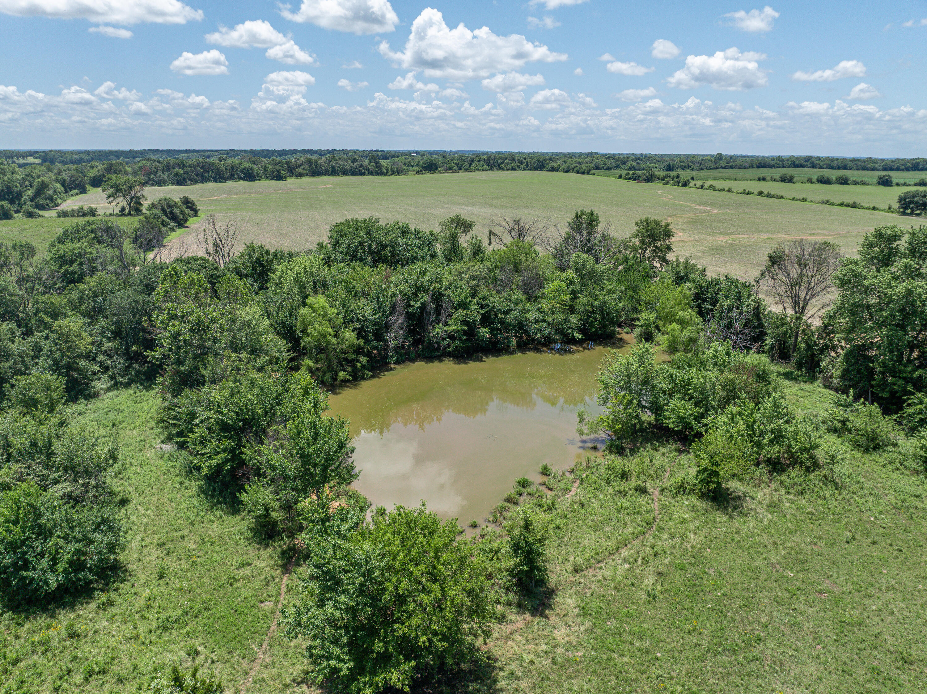 Photo 56 - Farm for sale – 862 N Dade 41   Lockwood, MO