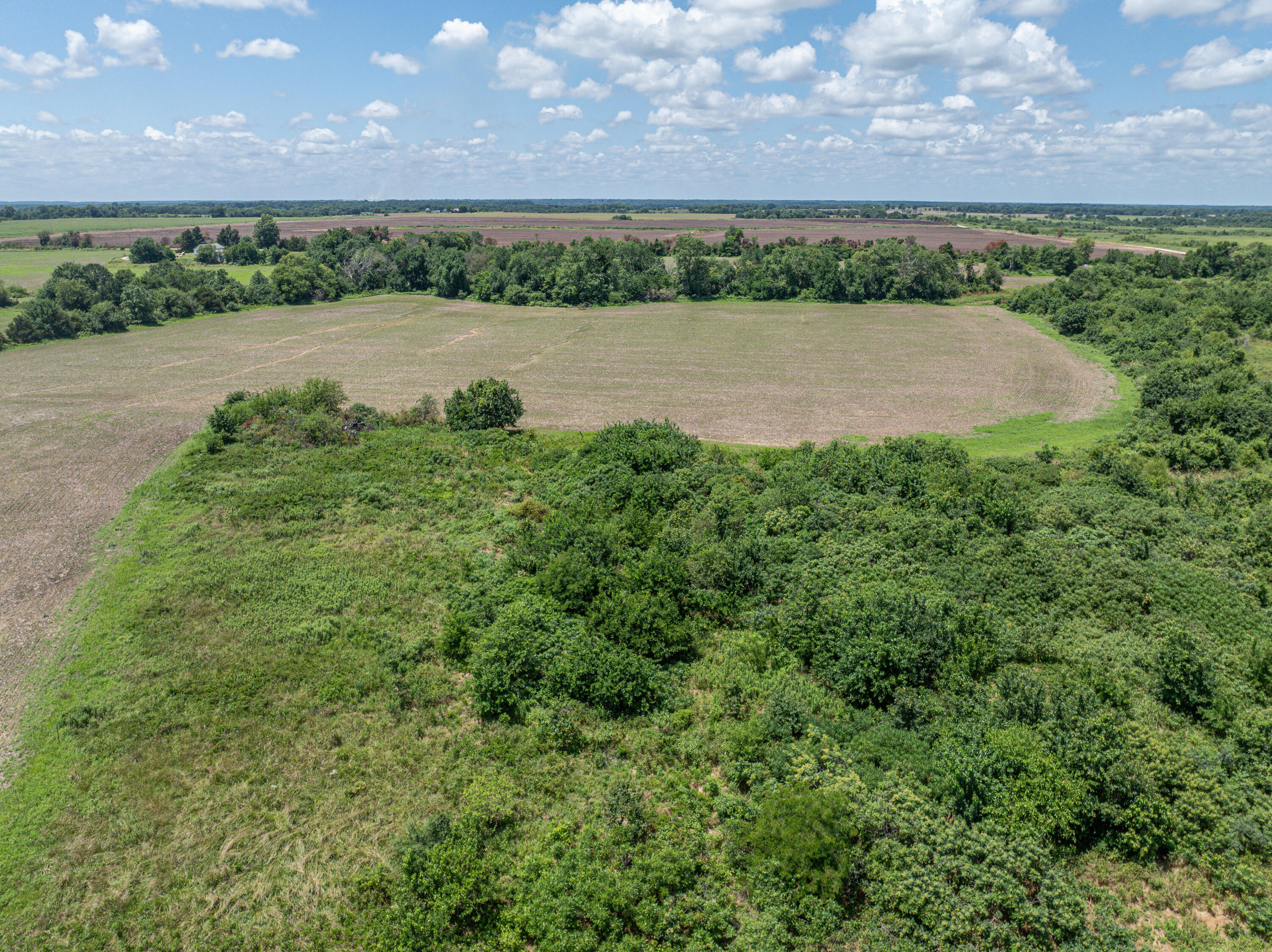 Photo 64 - Farm for sale – 862 N Dade 41   Lockwood, MO