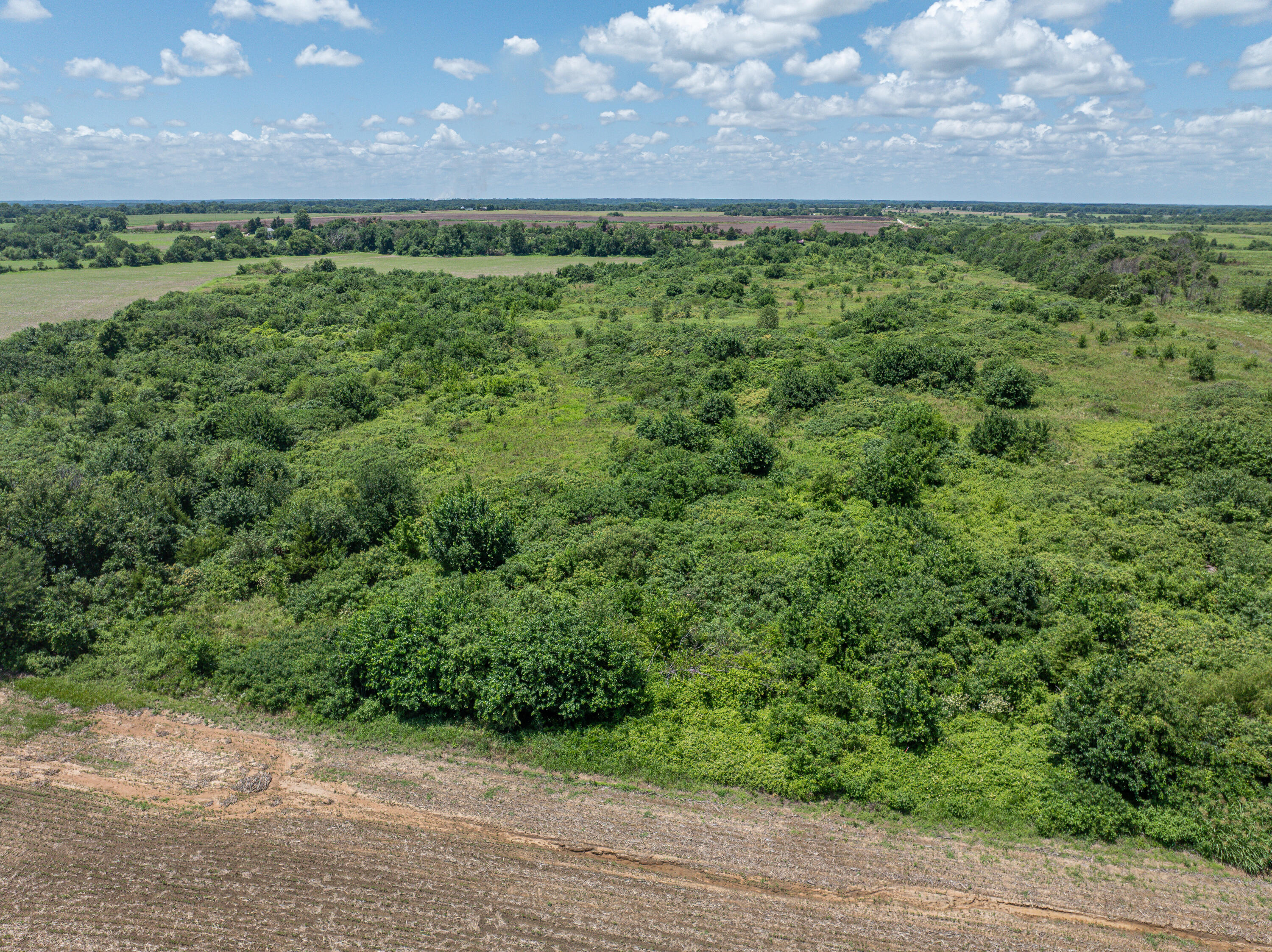 Photo 62 - Farm for sale – 862 N Dade 41   Lockwood, MO