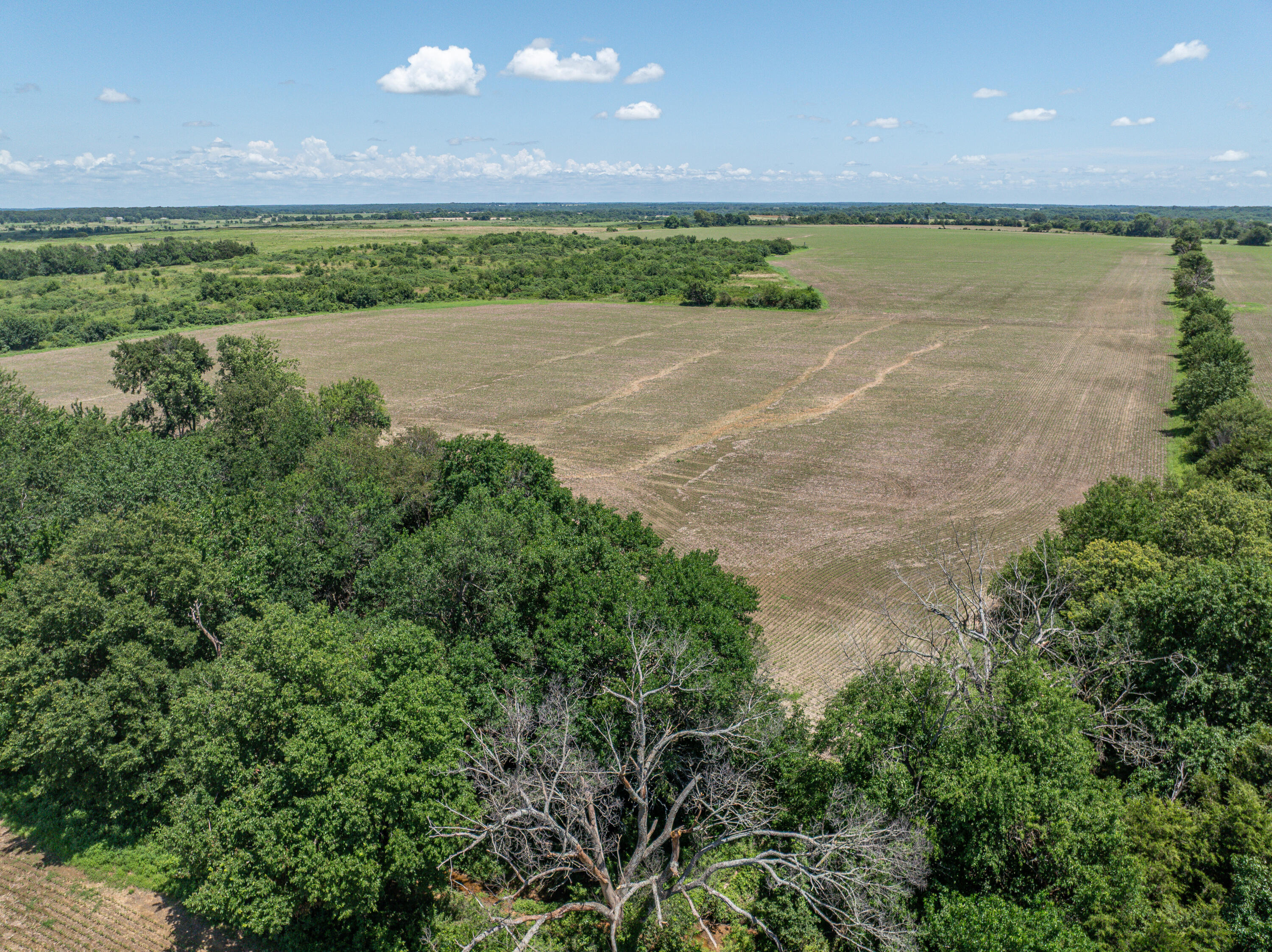 Photo 70 - Farm for sale – 862 N Dade 41   Lockwood, MO