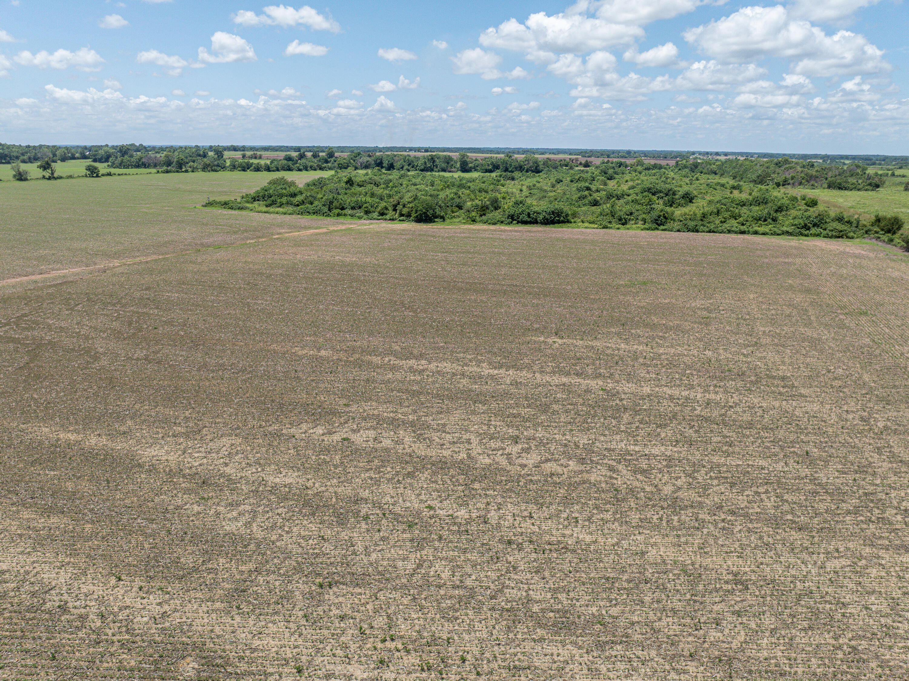 Photo 61 - Farm for sale – 862 N Dade 41   Lockwood, MO