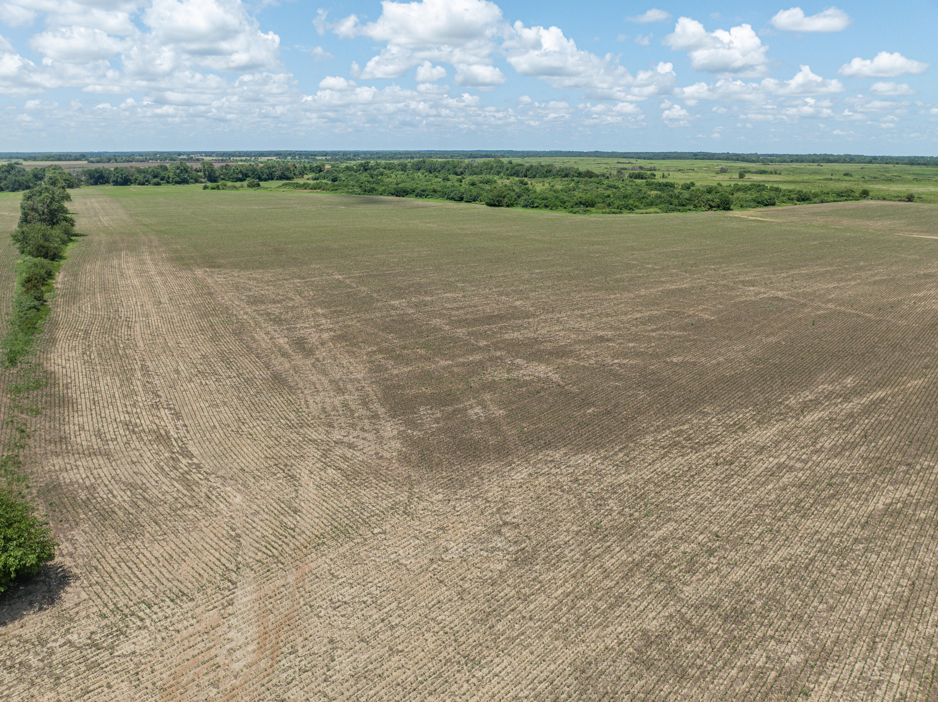 Photo 76 - Farm for sale – 862 N Dade 41   Lockwood, MO