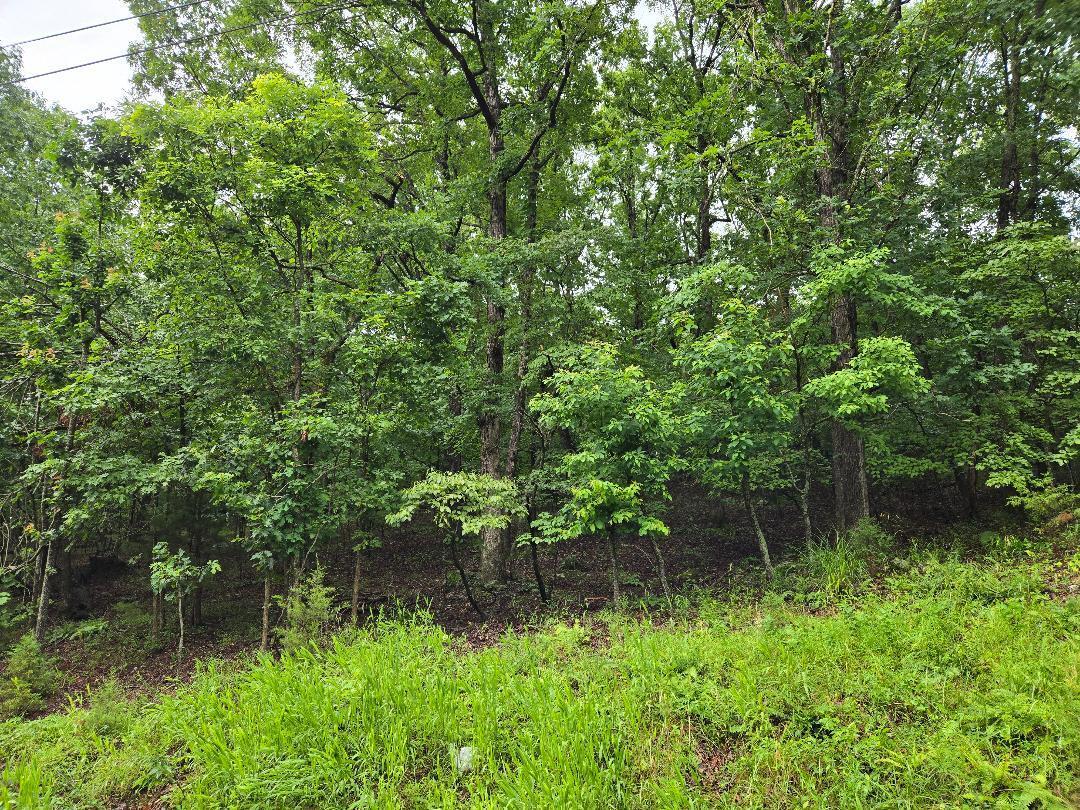 Listing 582039