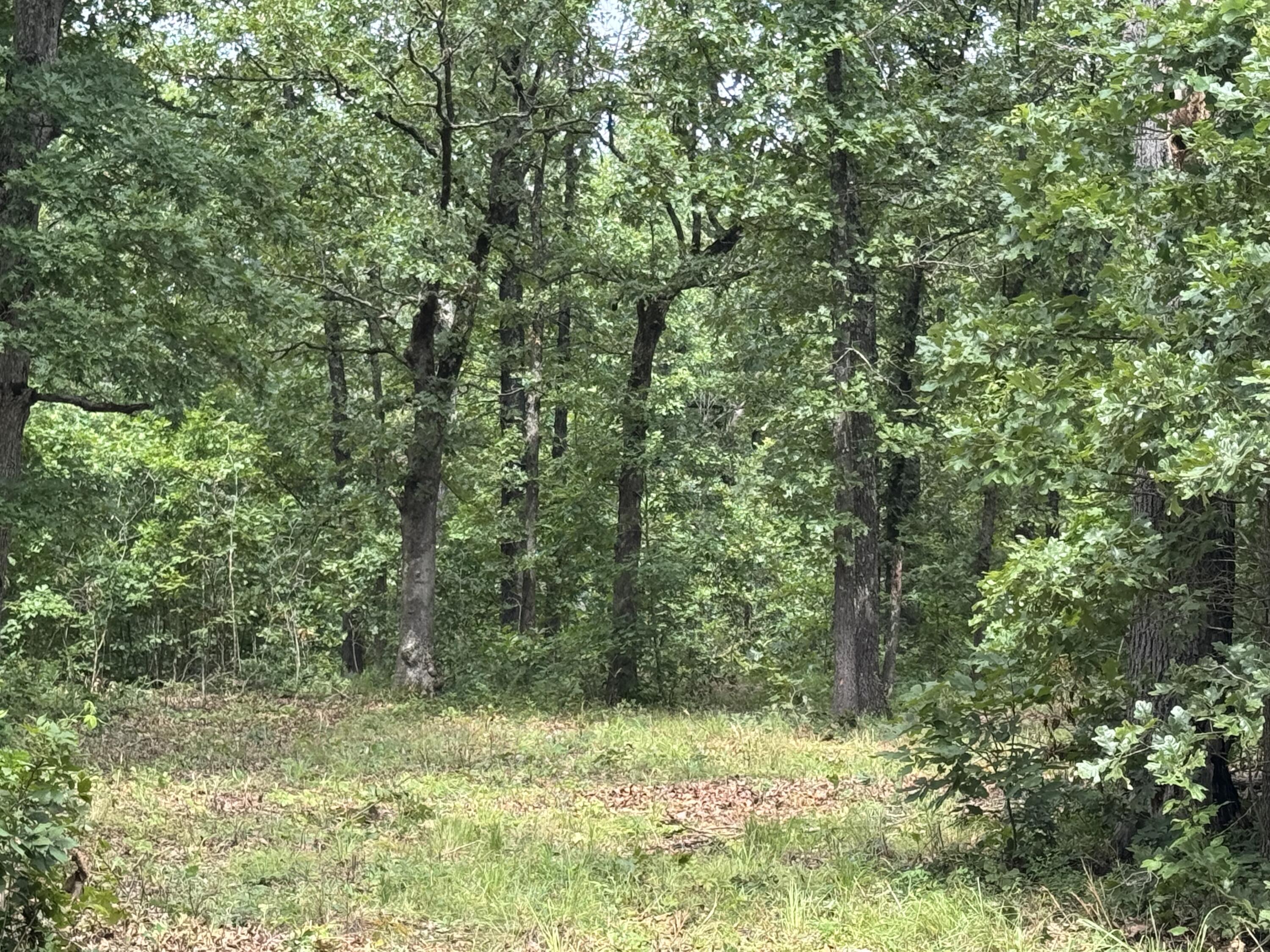 Photo 5 - Land for sale – 00  Post Oak   Tunas, MO