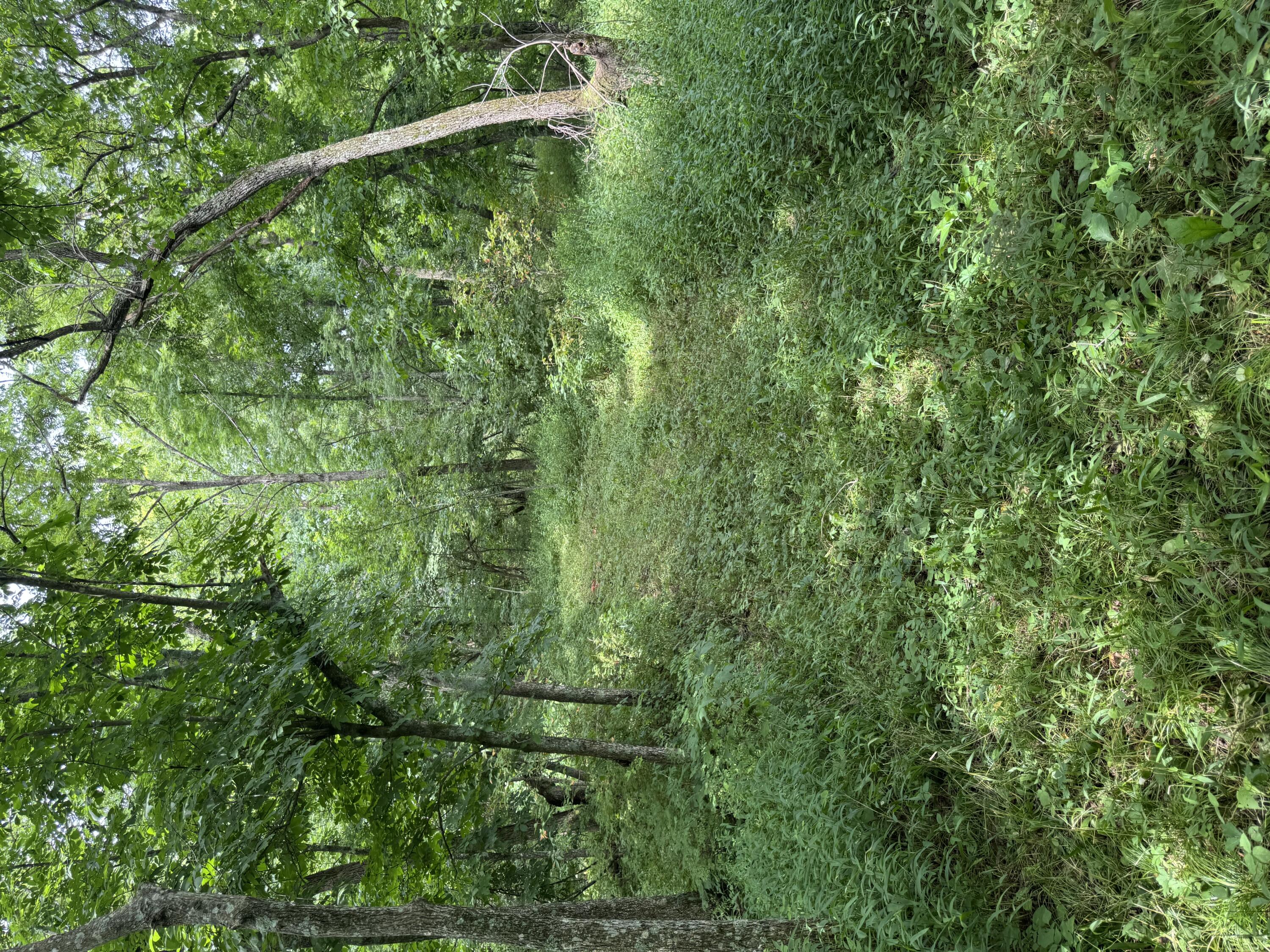 Photo 11 - Land for sale – 00  Post Oak   Tunas, MO