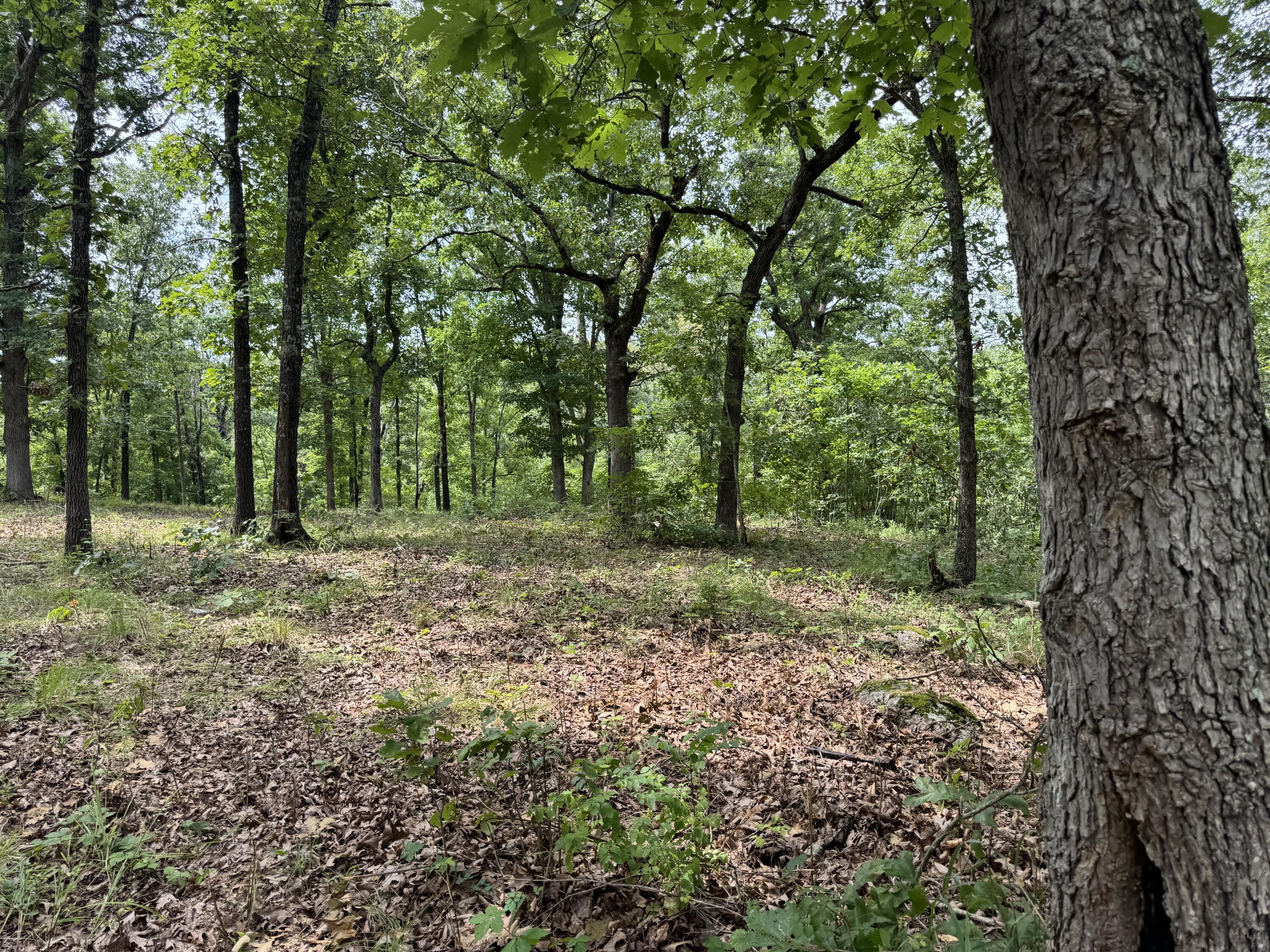 Photo 10 - Land for sale – 00  Post Oak   Tunas, MO
