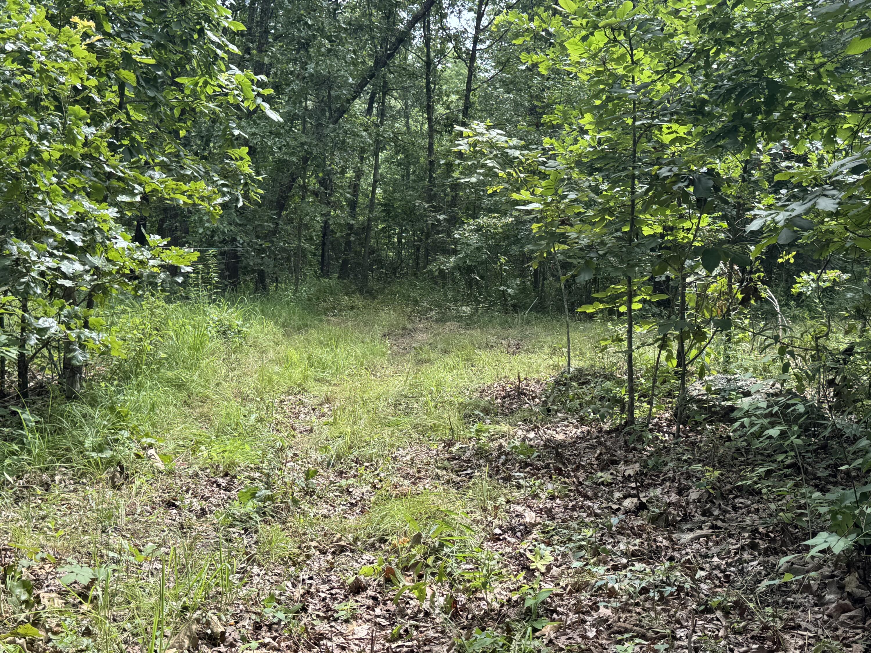 Photo 7 - Land for sale – 00  Post Oak   Tunas, MO