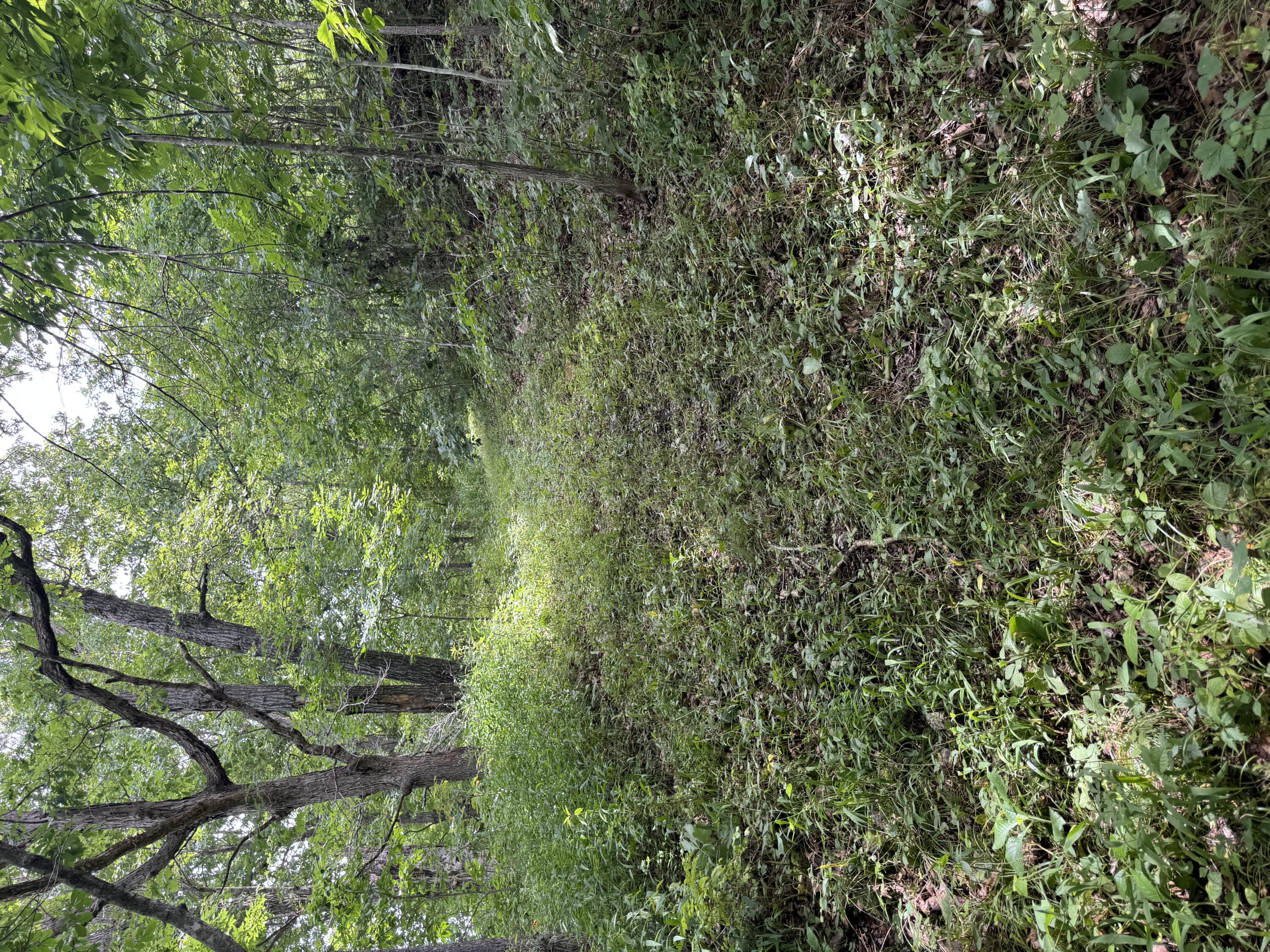 Photo 9 - Land for sale – 00  Post Oak   Tunas, MO