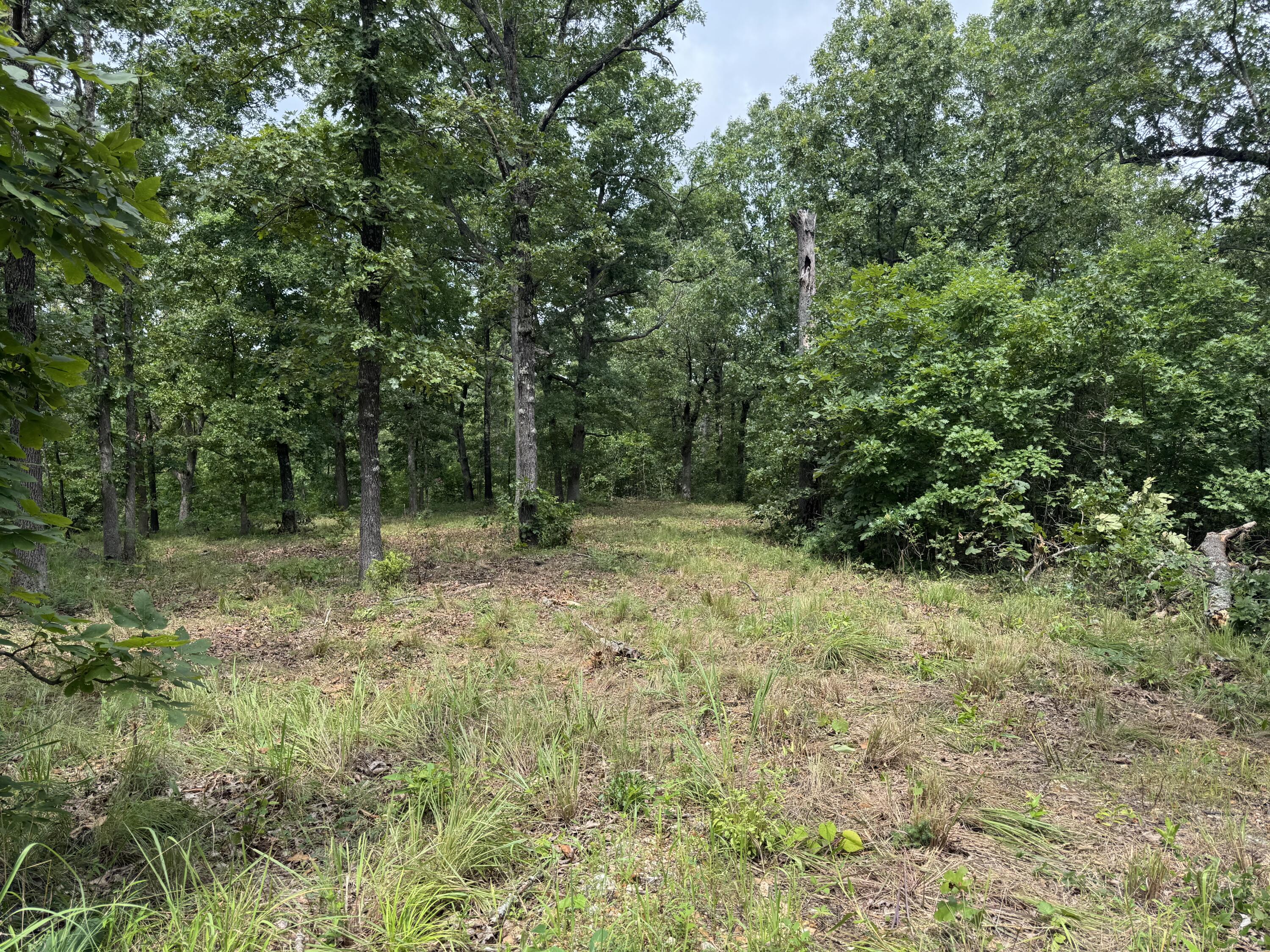 Photo 3 - Land for sale – 00  Post Oak   Tunas, MO