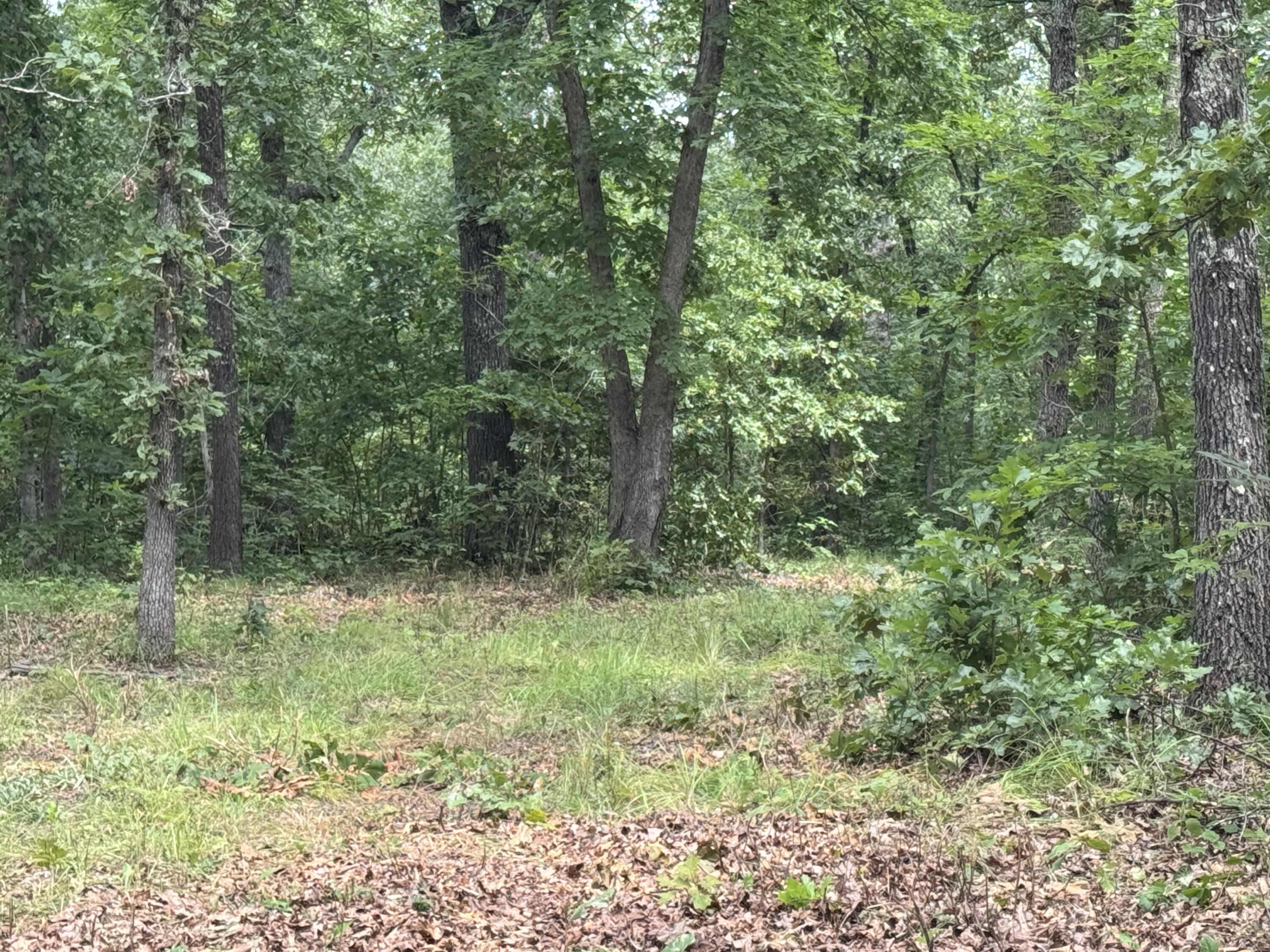 Photo 6 - Land for sale – 00  Post Oak   Tunas, MO