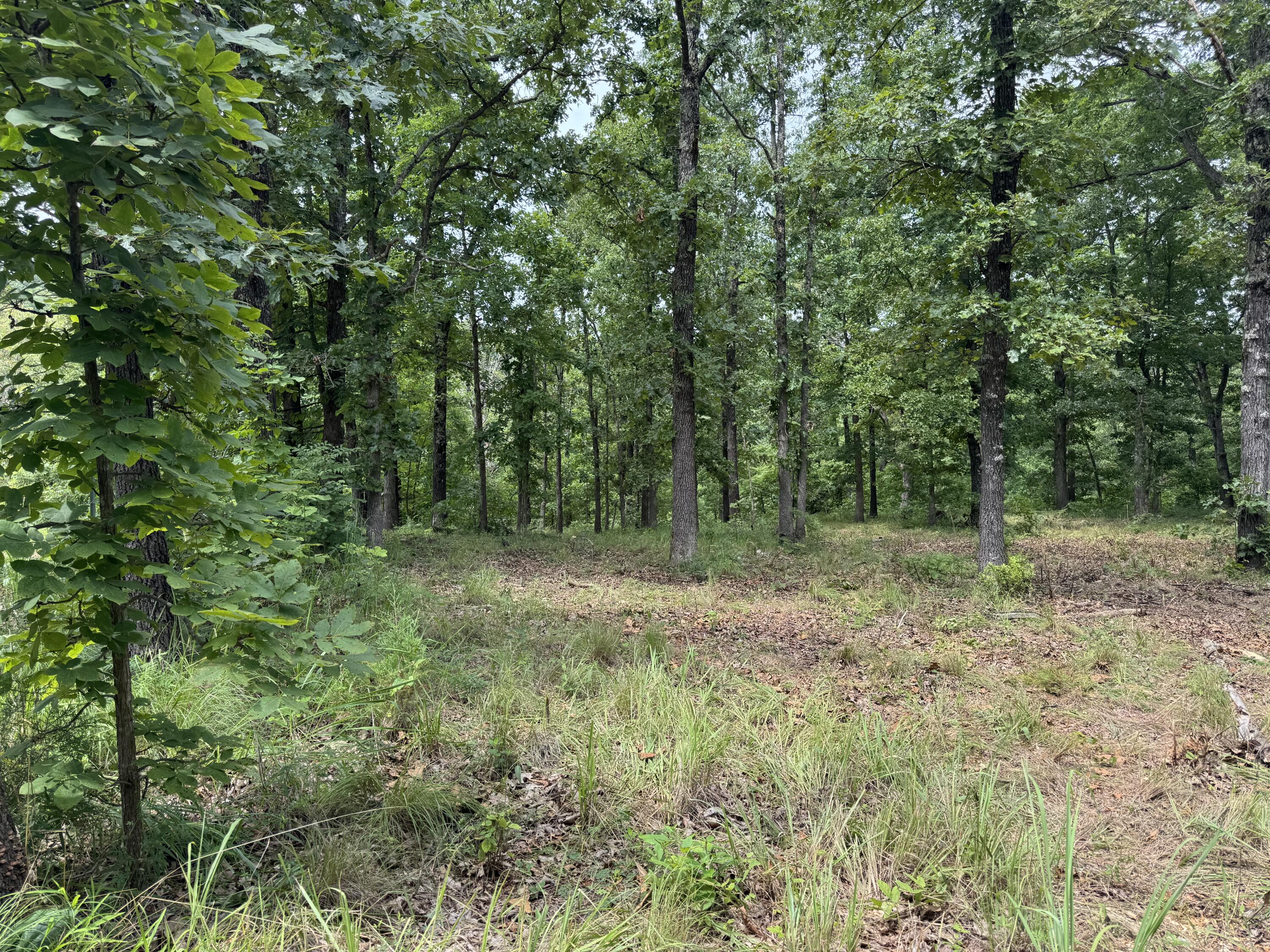 Photo 4 - Land for sale – 00  Post Oak   Tunas, MO