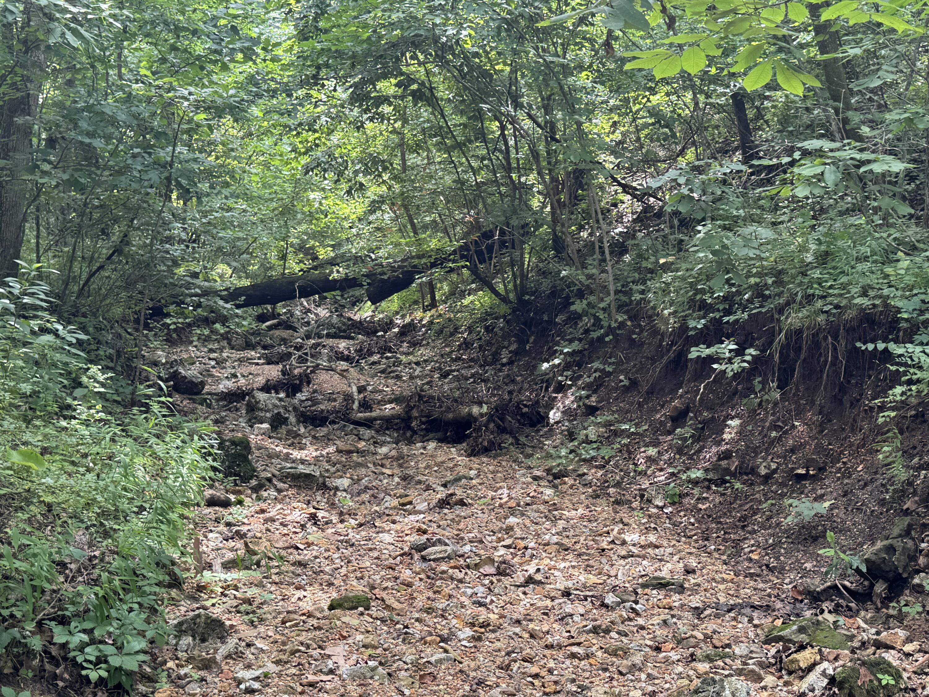 Photo 8 - Land for sale – 00  Post Oak   Tunas, MO