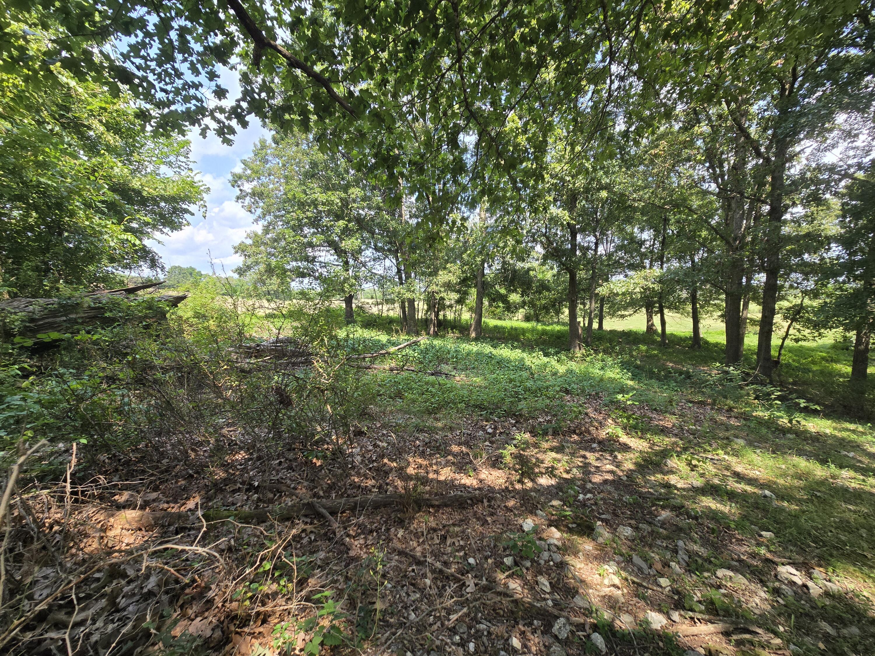 Photo 14 - Land for sale – 000  Highway 181   Cabool, MO