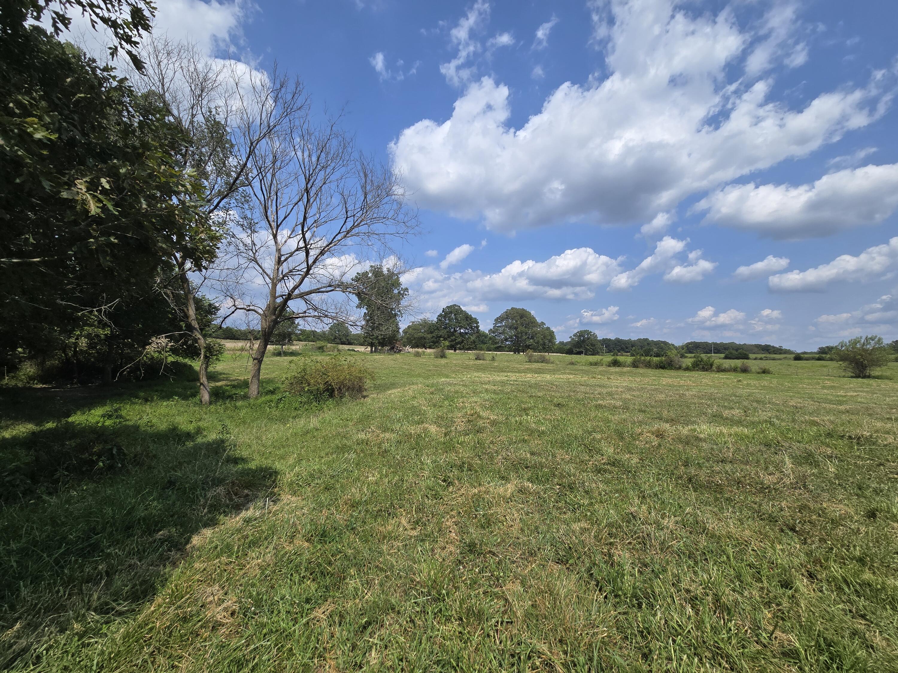 Photo 4 - Land for sale – 000  Highway 181   Cabool, MO