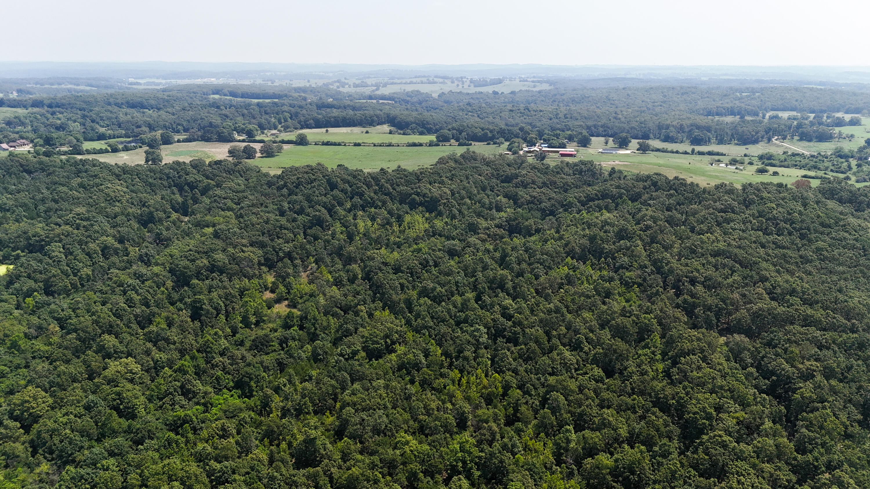 Photo 19 - Land for sale – 000  Highway 181   Cabool, MO