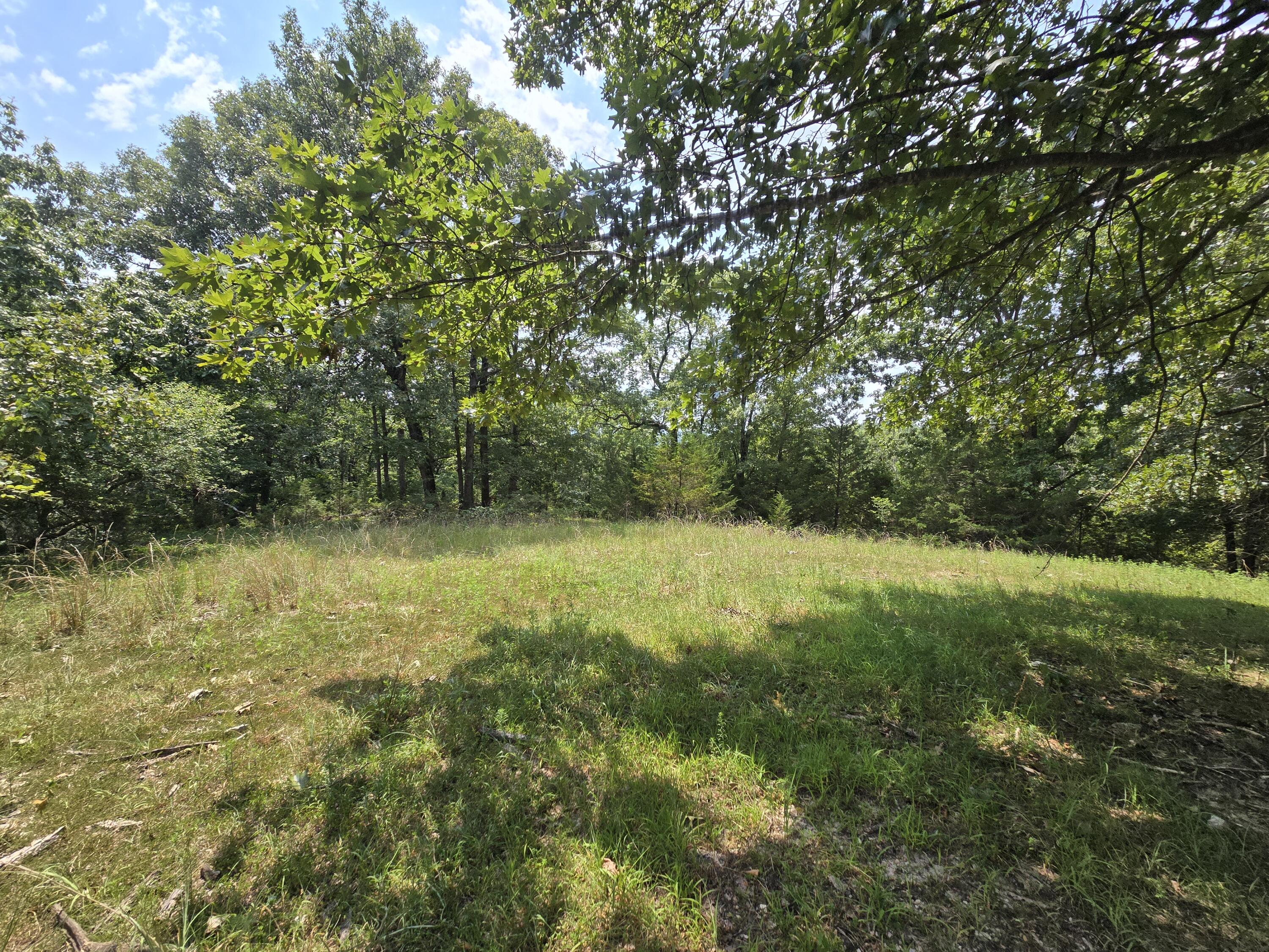 Photo 9 - Land for sale – 000  Highway 181   Cabool, MO