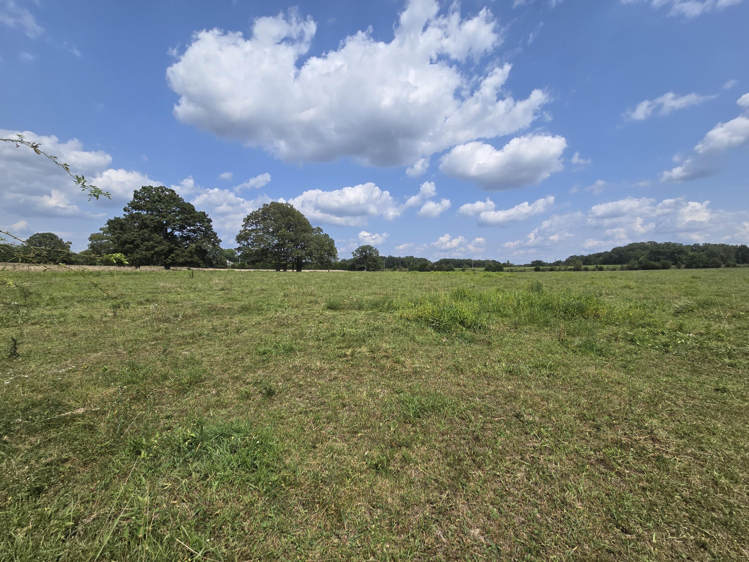 Photo 2 - Land for sale – 000  Highway 181   Cabool, MO
