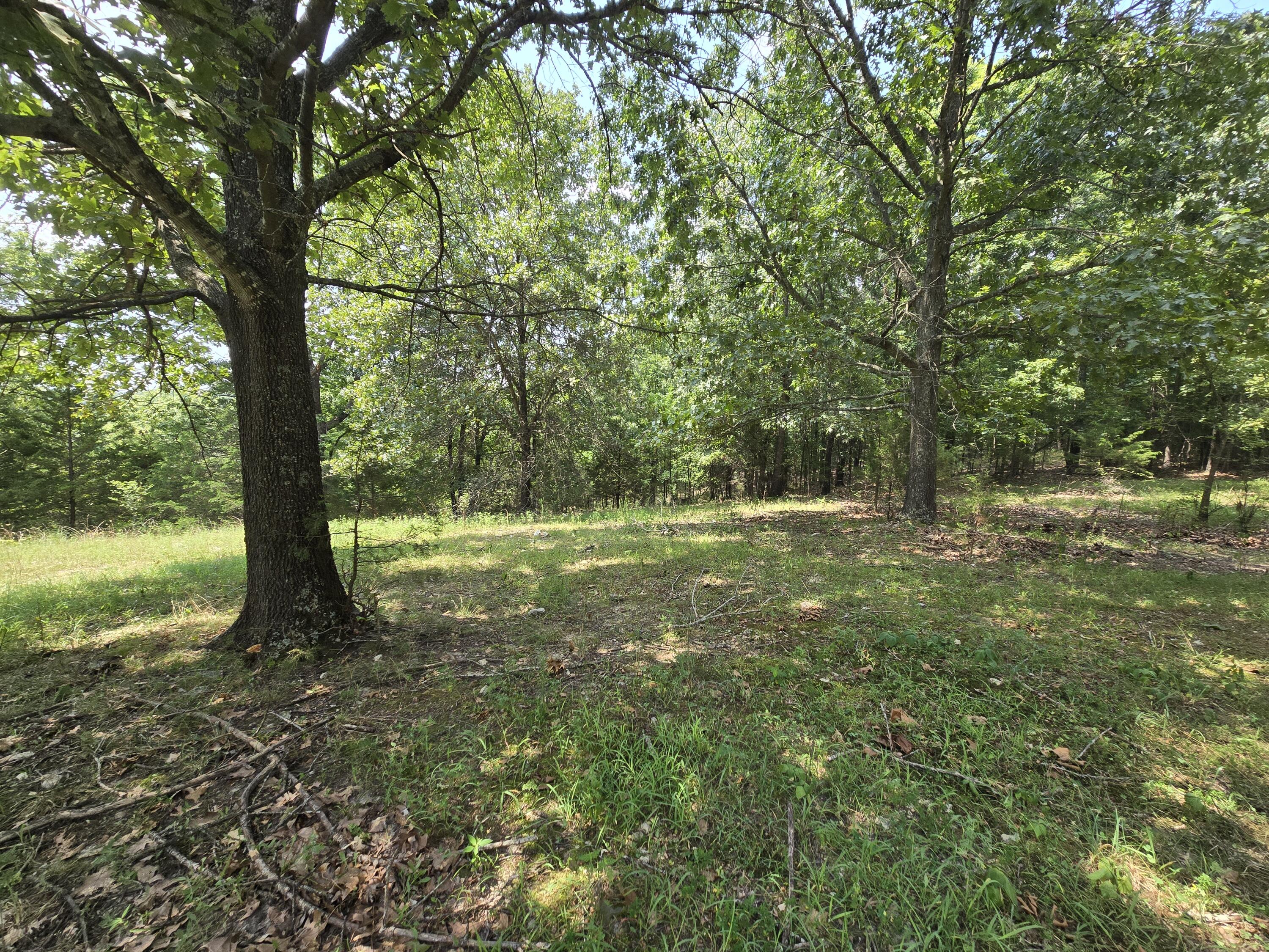 Photo 10 - Land for sale – 000  Highway 181   Cabool, MO
