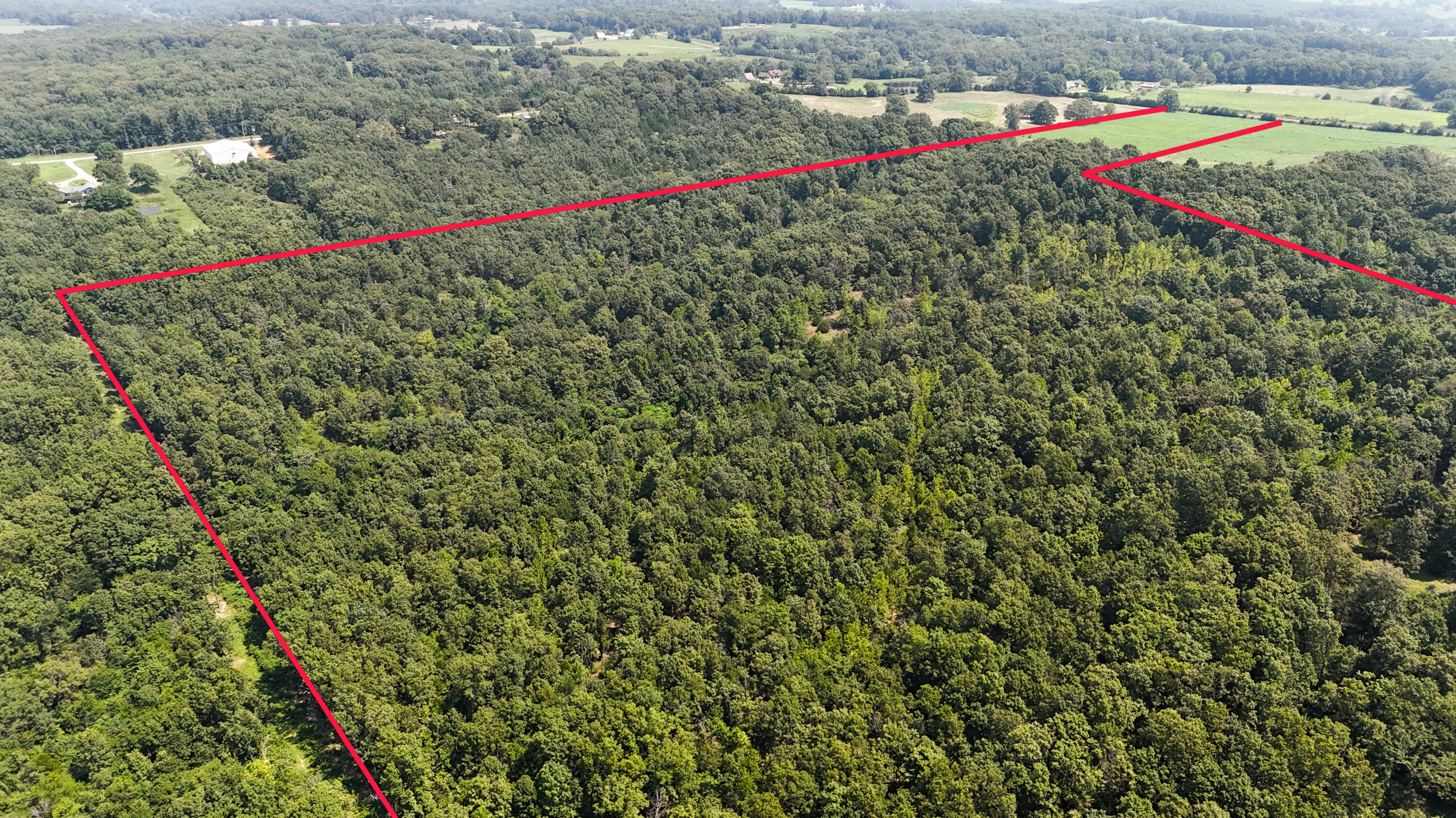 Photo 16 - Land for sale – 000  Highway 181   Cabool, MO