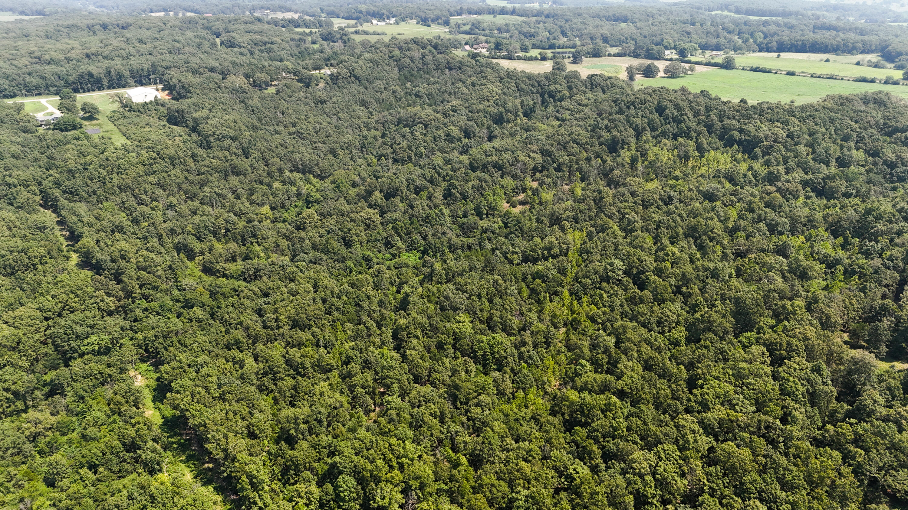 Photo 18 - Land for sale – 000  Highway 181   Cabool, MO