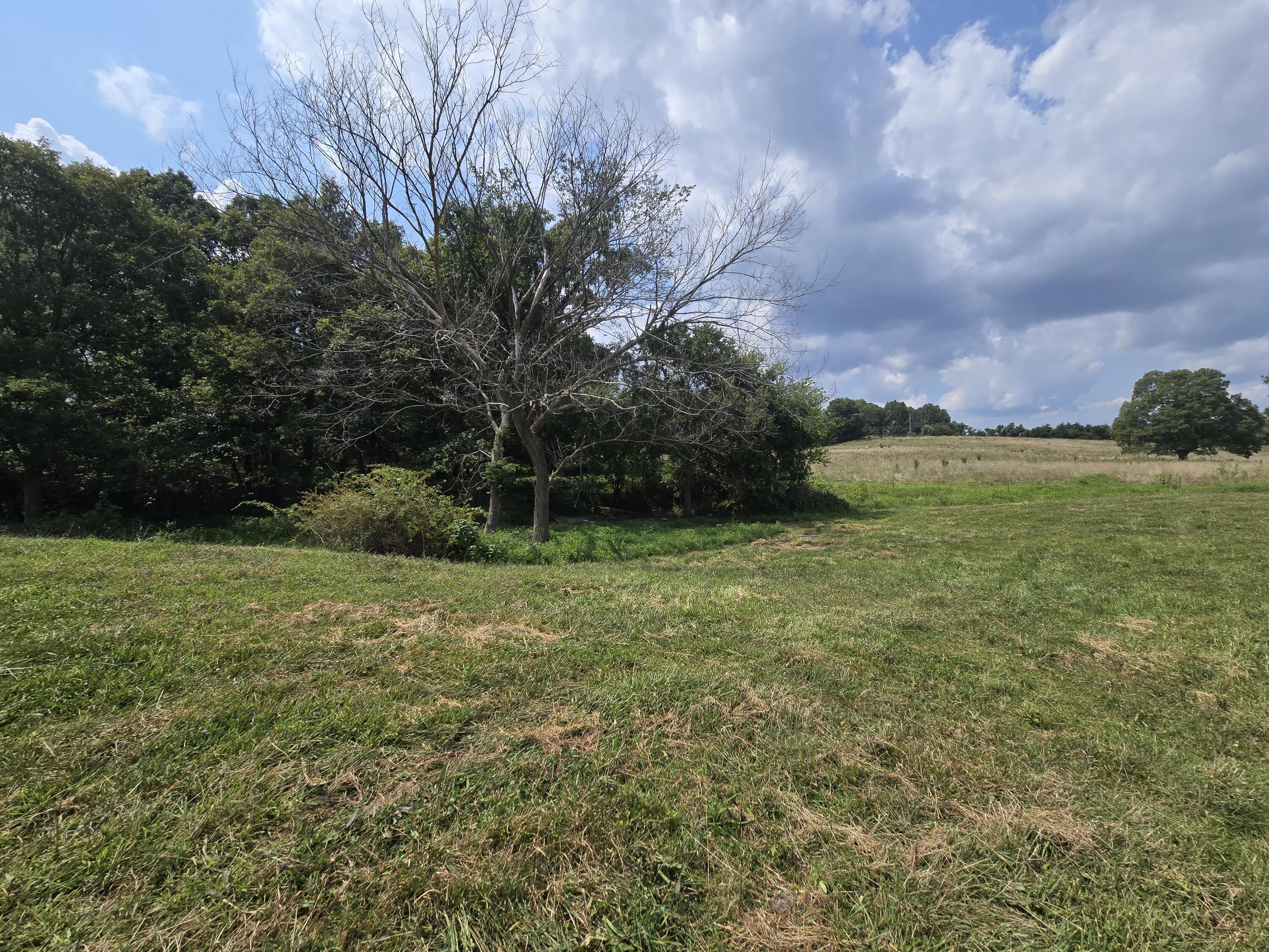 Photo 3 - Land for sale – 000  Highway 181   Cabool, MO