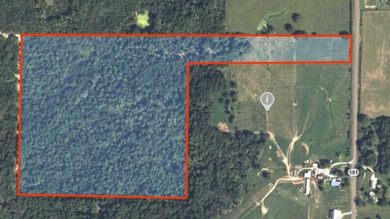Photo 15 - Land for sale – 000  Highway 181   Cabool, MO