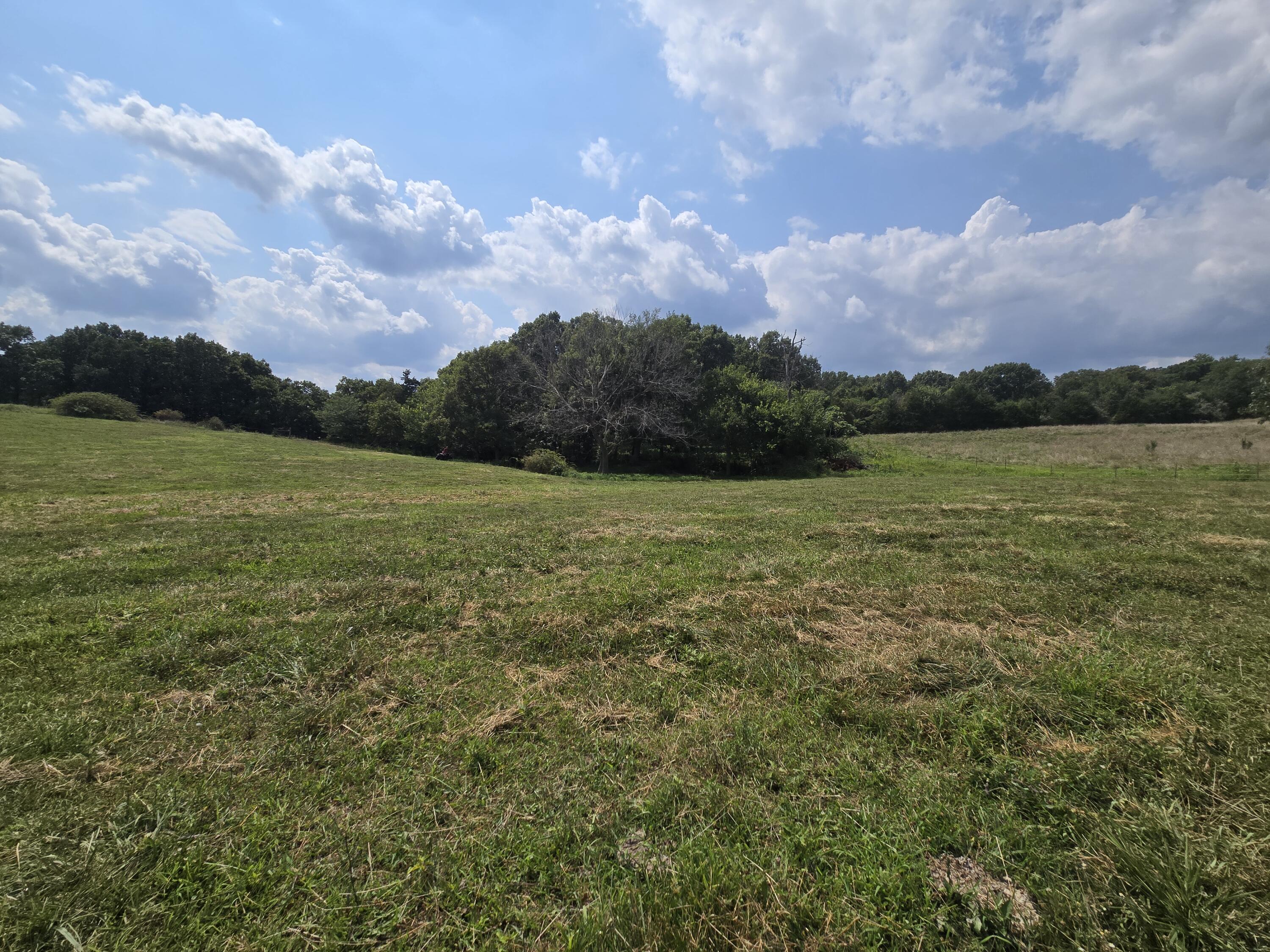 Land for sale – 000  Highway 181   Cabool, MO