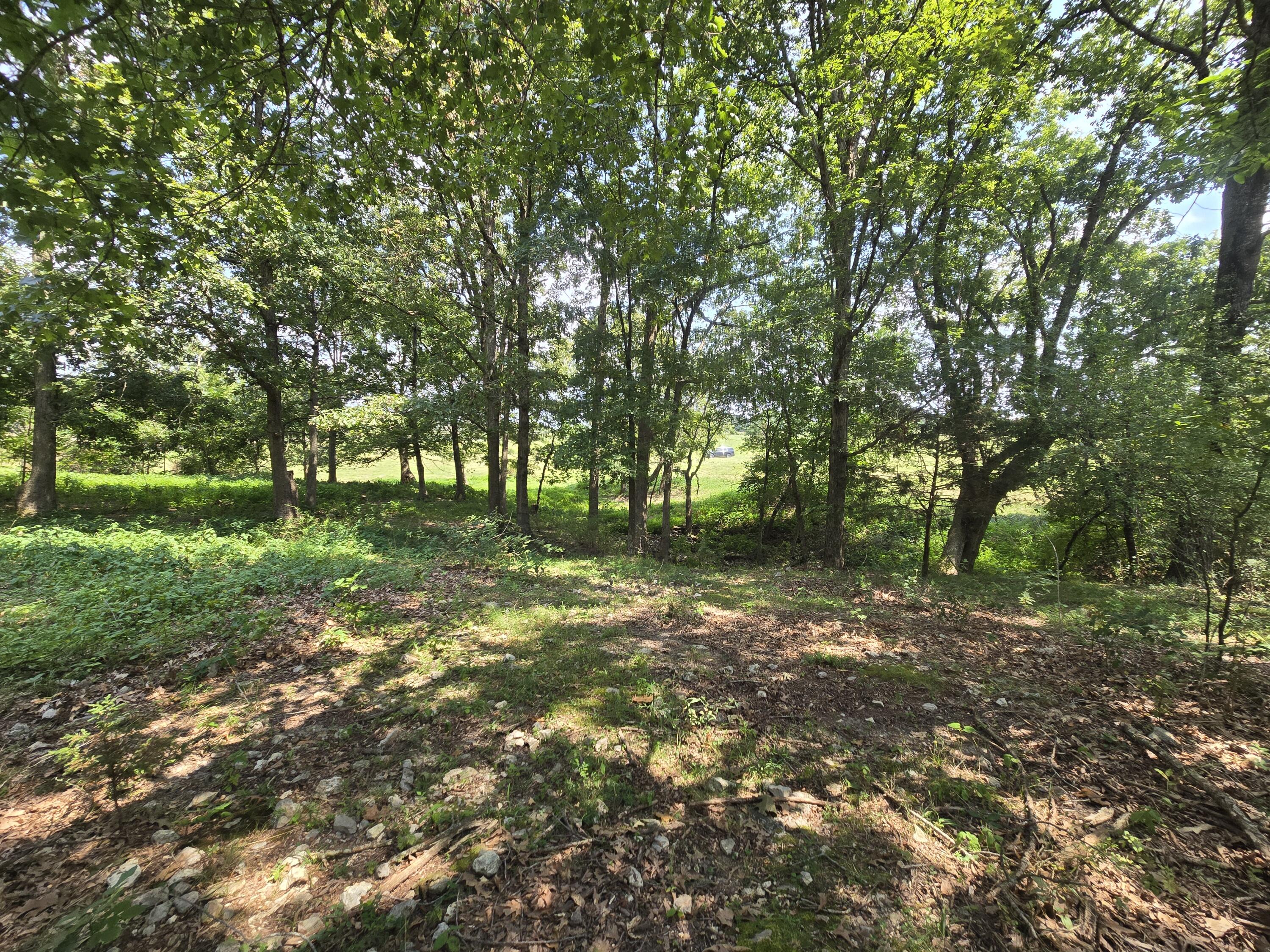 Photo 12 - Land for sale – 000  Highway 181   Cabool, MO