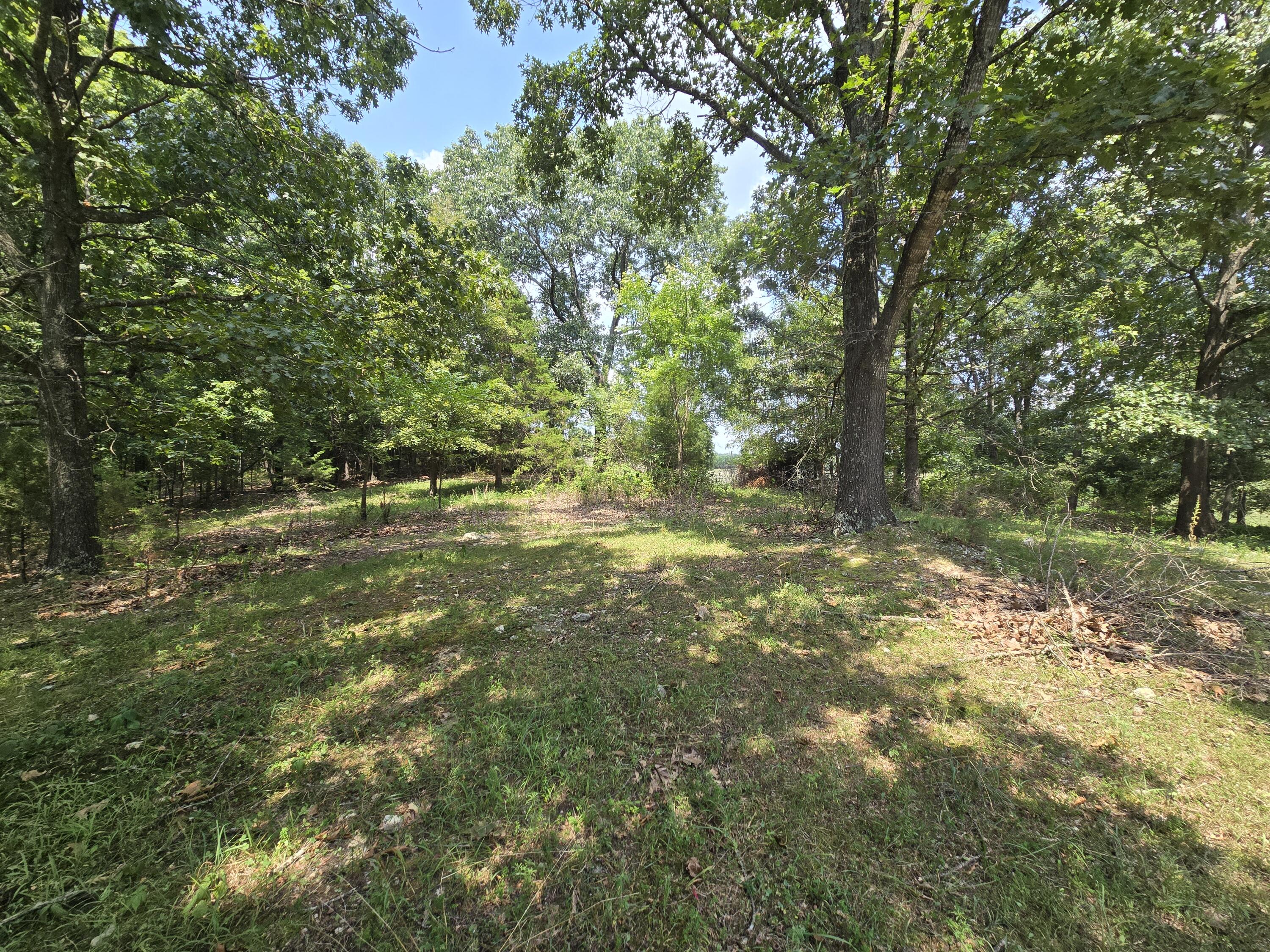 Photo 11 - Land for sale – 000  Highway 181   Cabool, MO