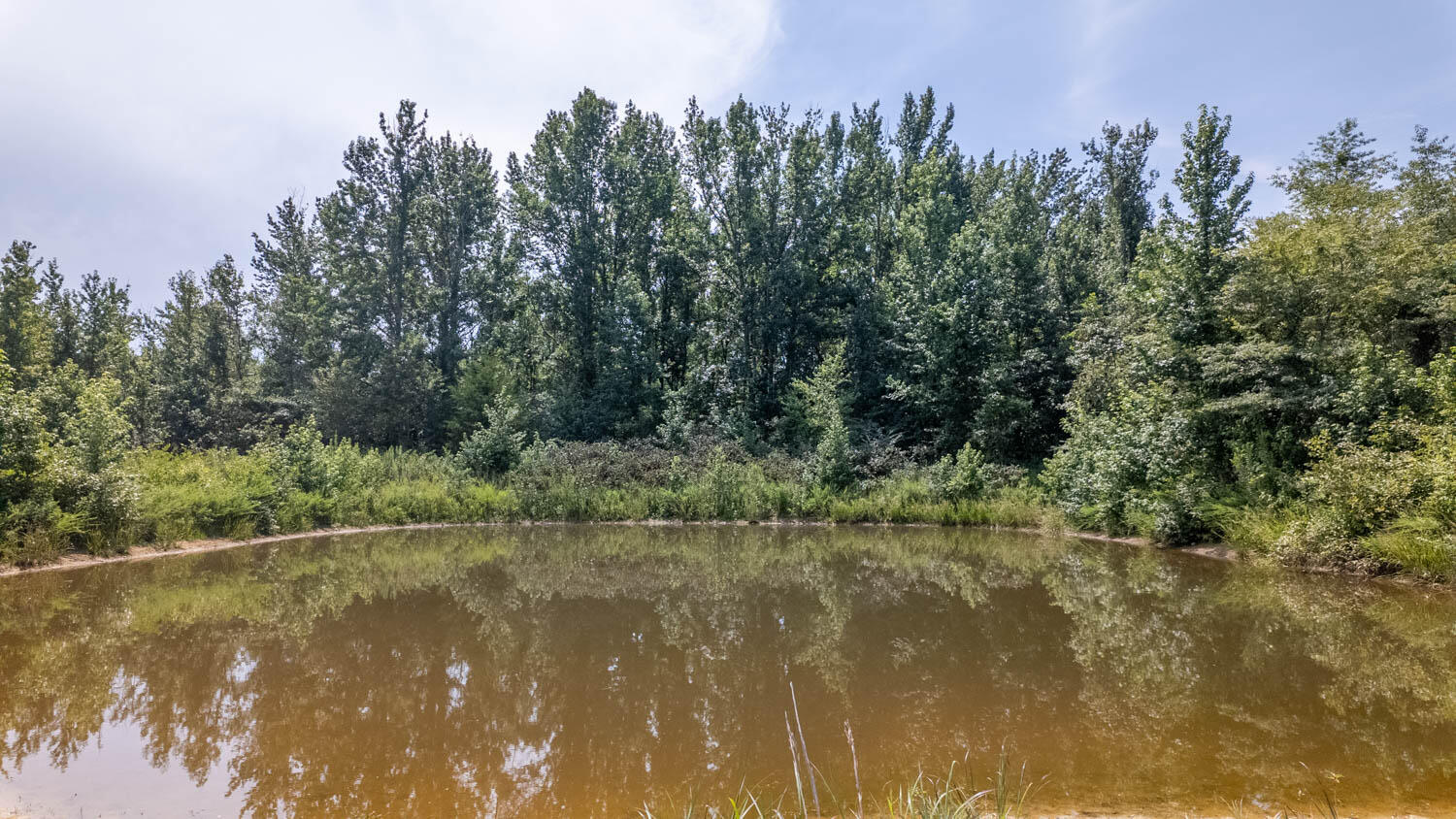 Photo 42 - Residential for sale – 0  Cannaday Flat Road   Hector, AR