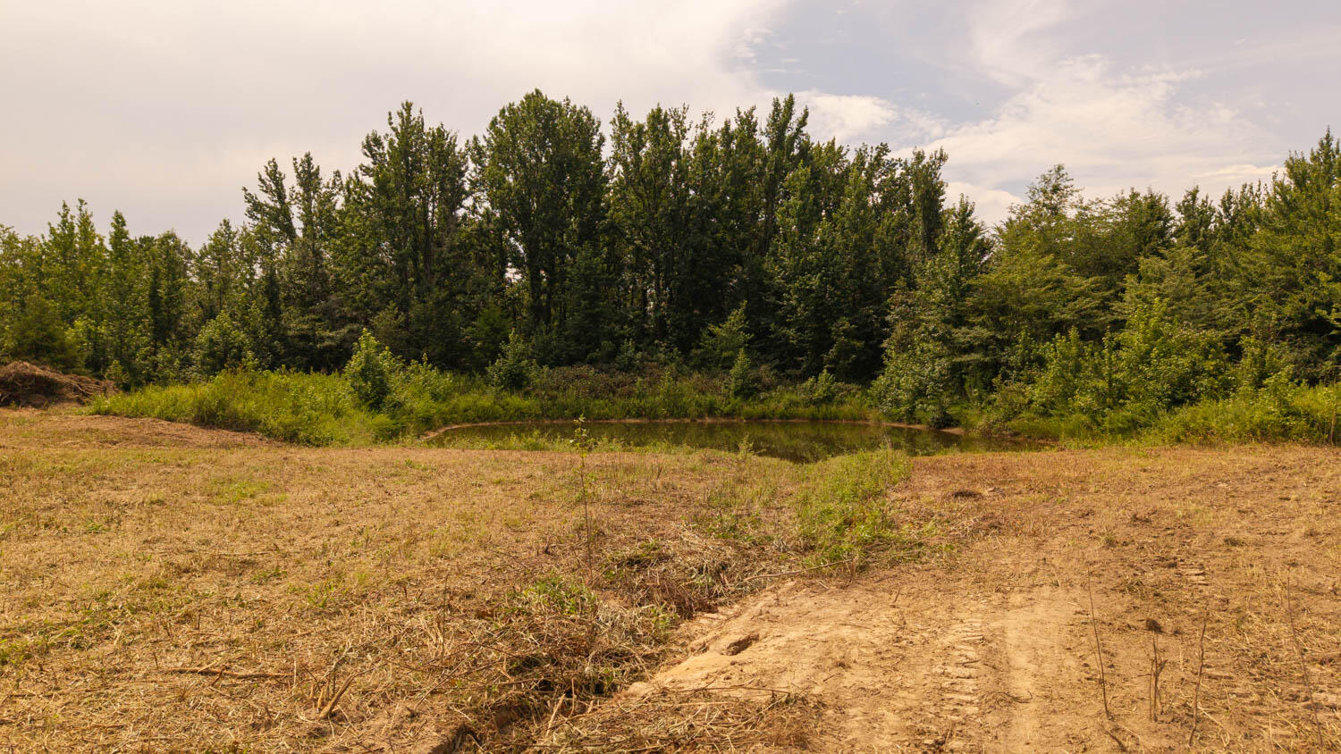 Photo 40 - Farm for sale – 0  Cannaday Flat Road   Hector, AR