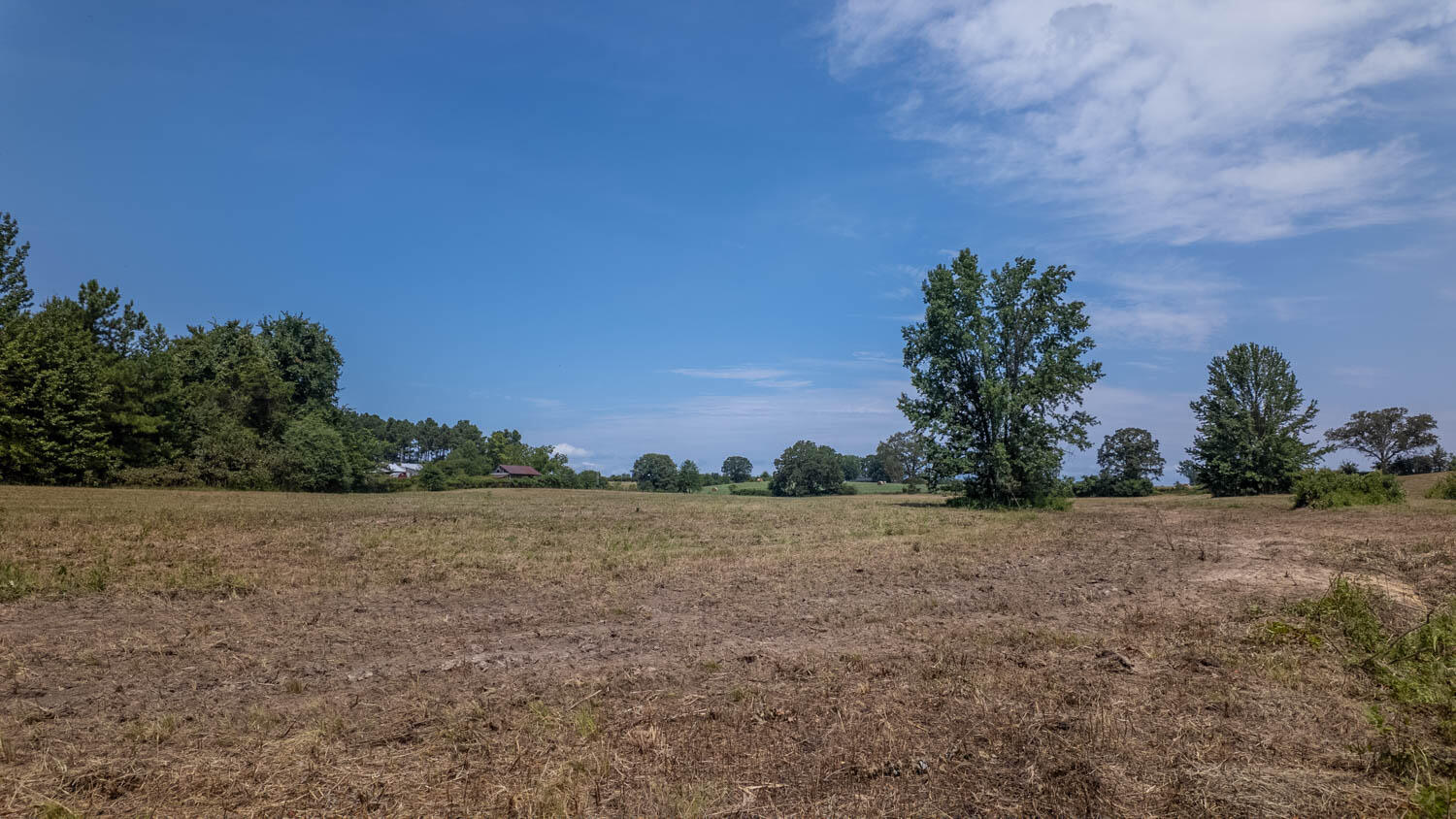 Photo 43 - Farm for sale – 0  Cannaday Flat Road   Hector, AR